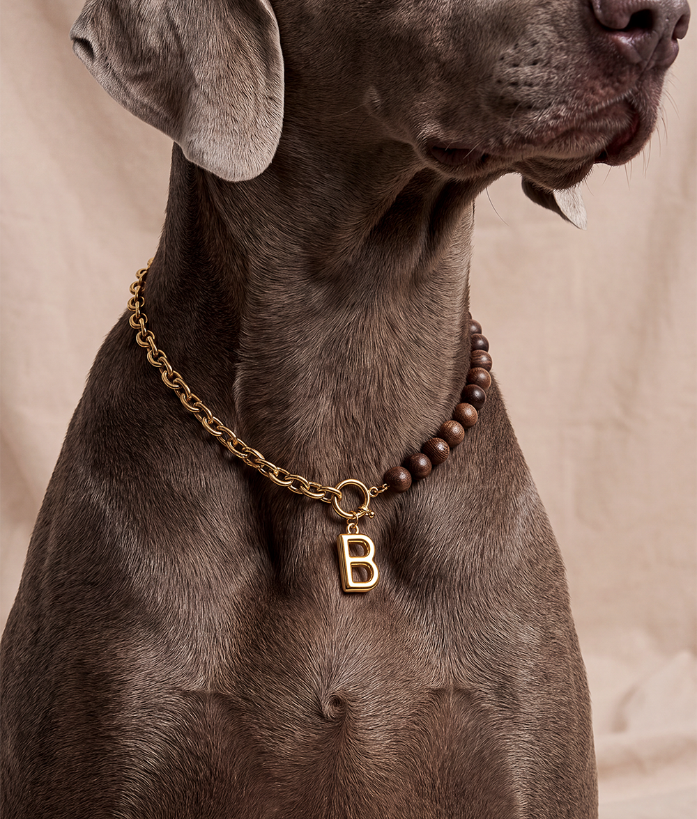 cafide-sira-hundehalsband-gold-holz-buchstabe-gr-e-m-deko image 6