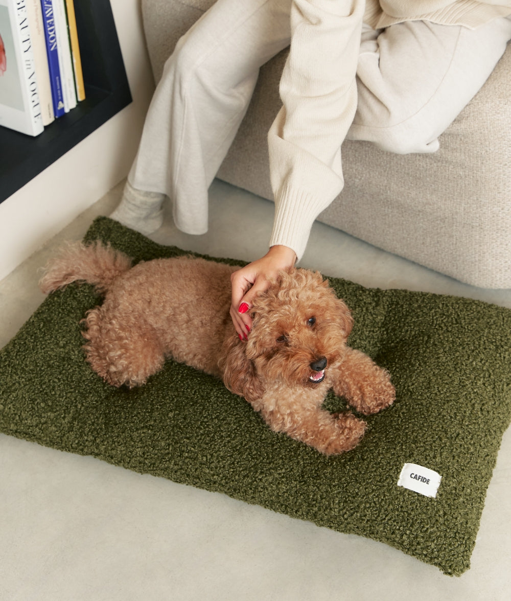 cafide-pets-bela-hundekissen-gr-n-pl-sch-recycling-waschbar image 2