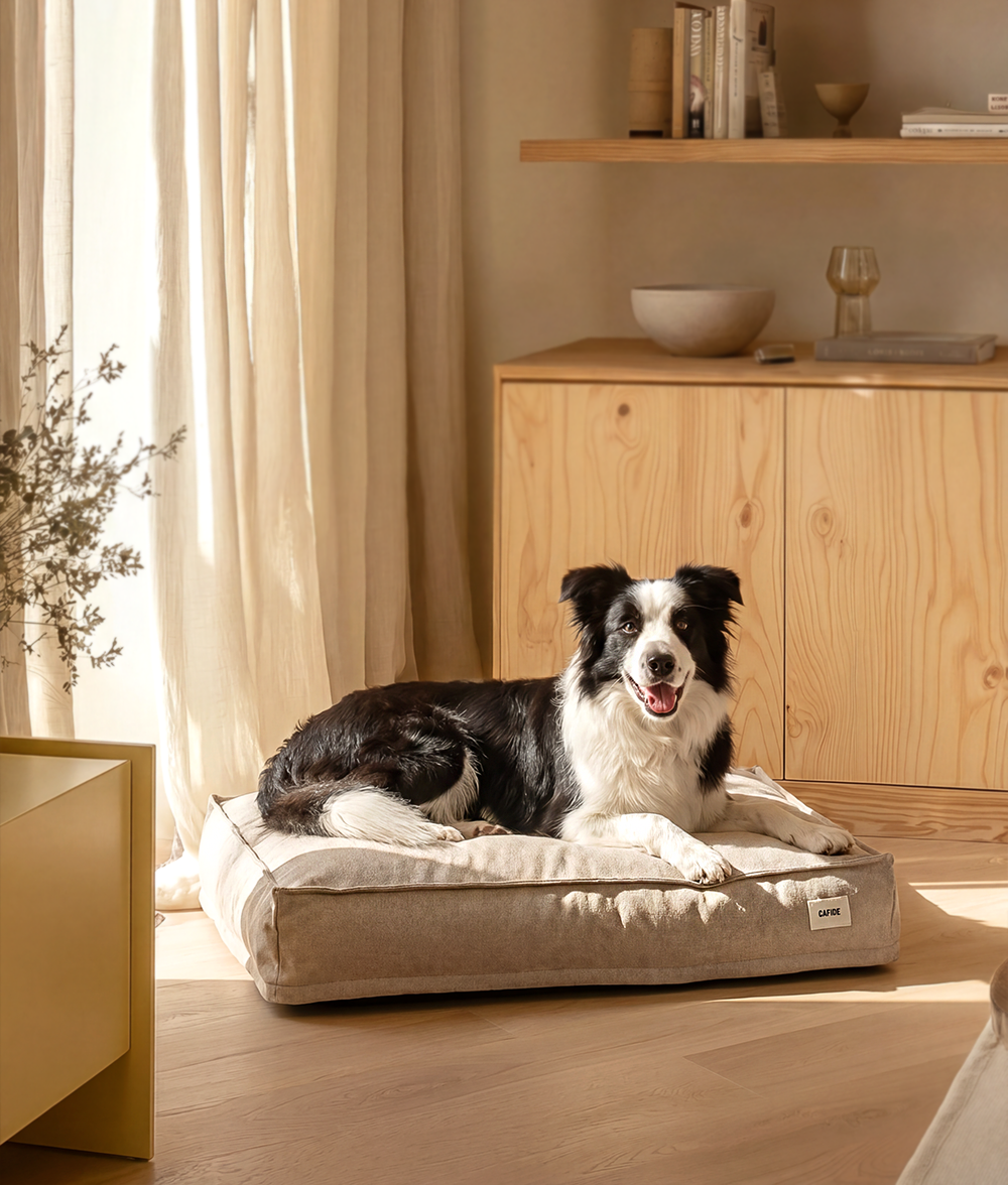 cafide-cuadra-hundebett-beige-waschbar-recycelt-m-l-xl image 3
