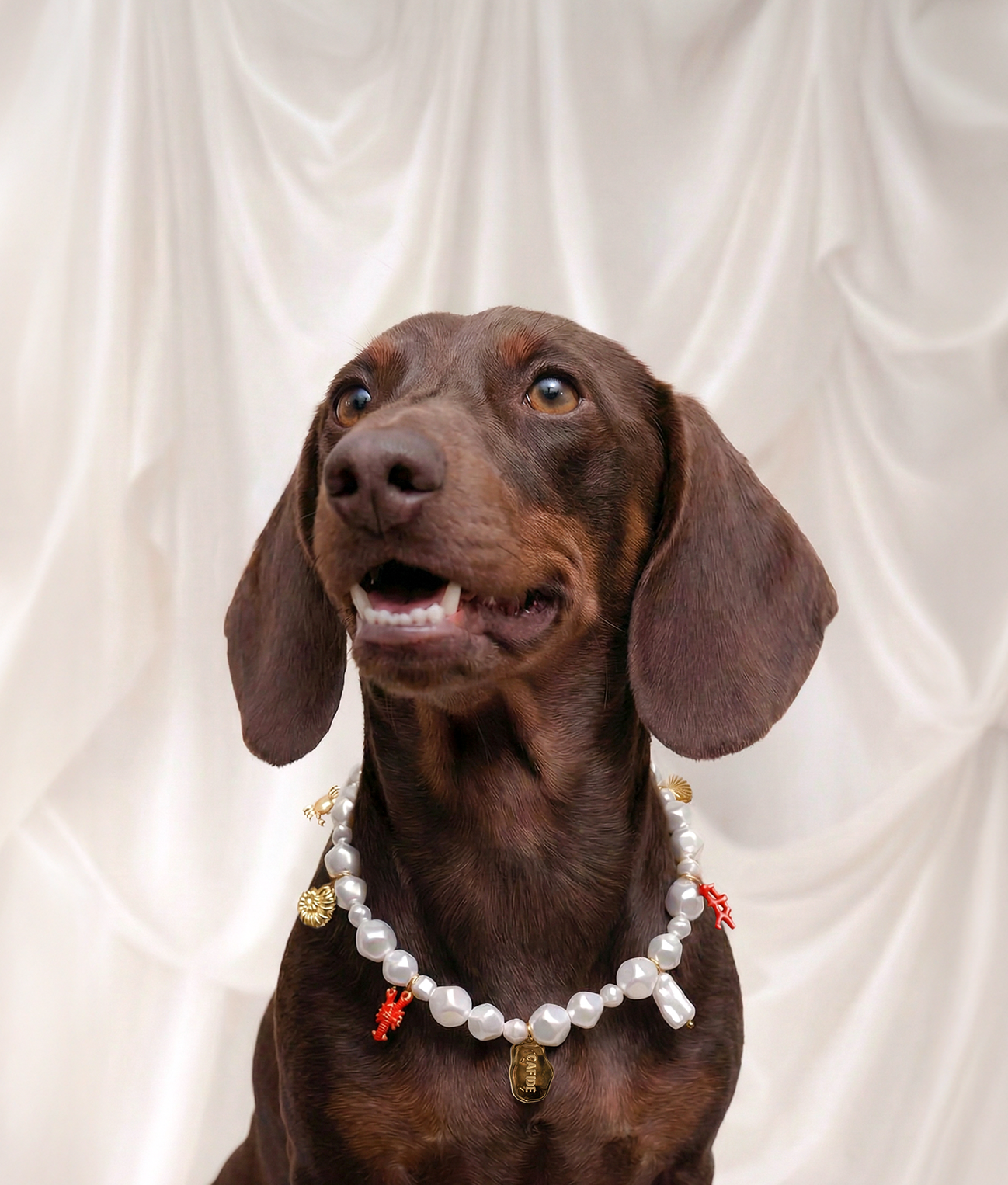 cafide-sira-hunde-halskette-koralle-schmuck-xs-l image 2