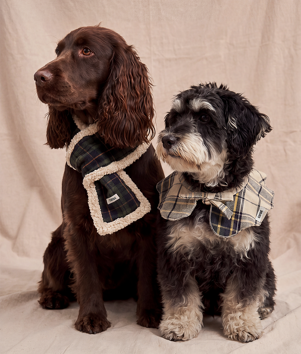 cafide-pets-accessories-mica-hundeschal-tartan-gr-n-w-rmend image 3