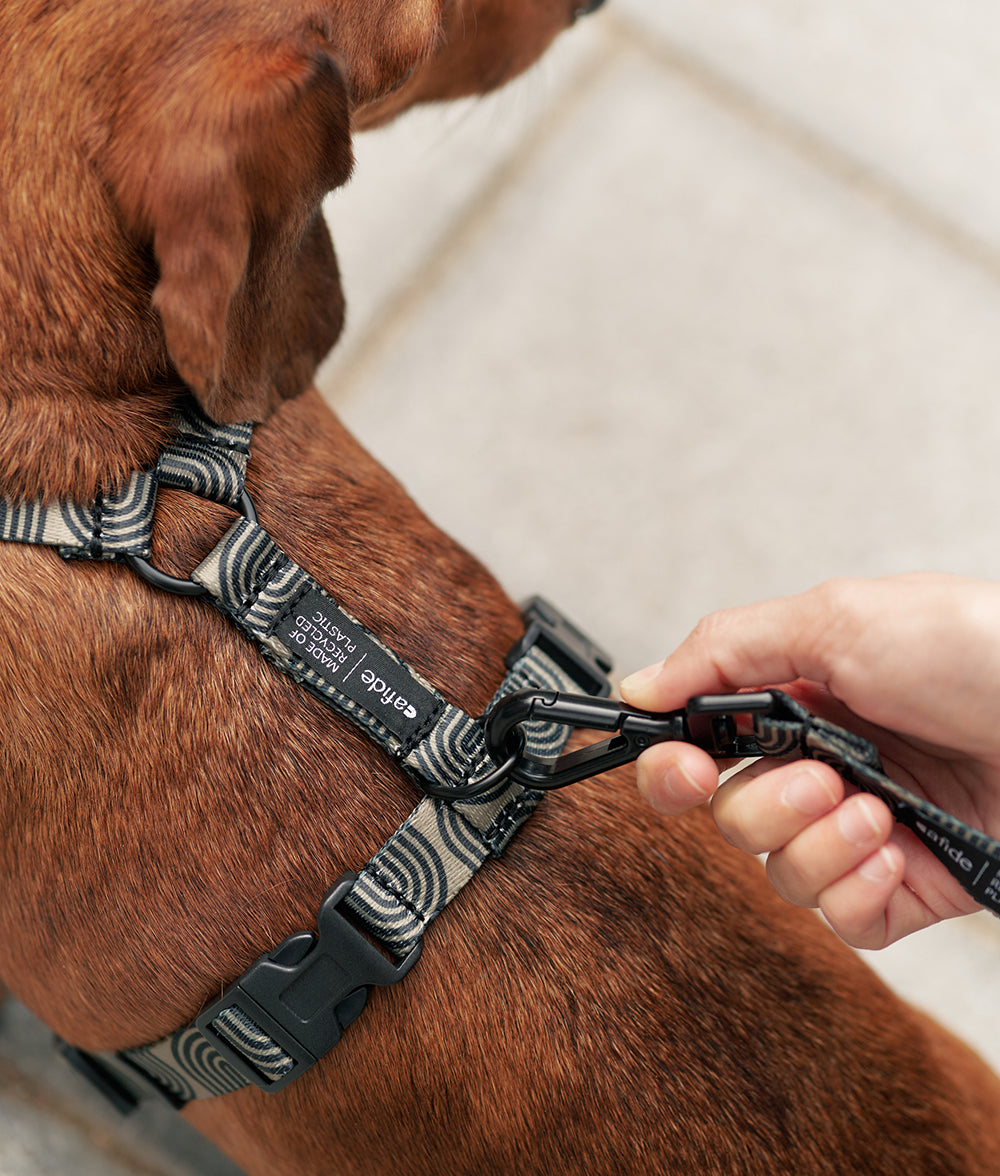 cafide-walk-juno-hundegeschirr-gr-n-japan-design image 3