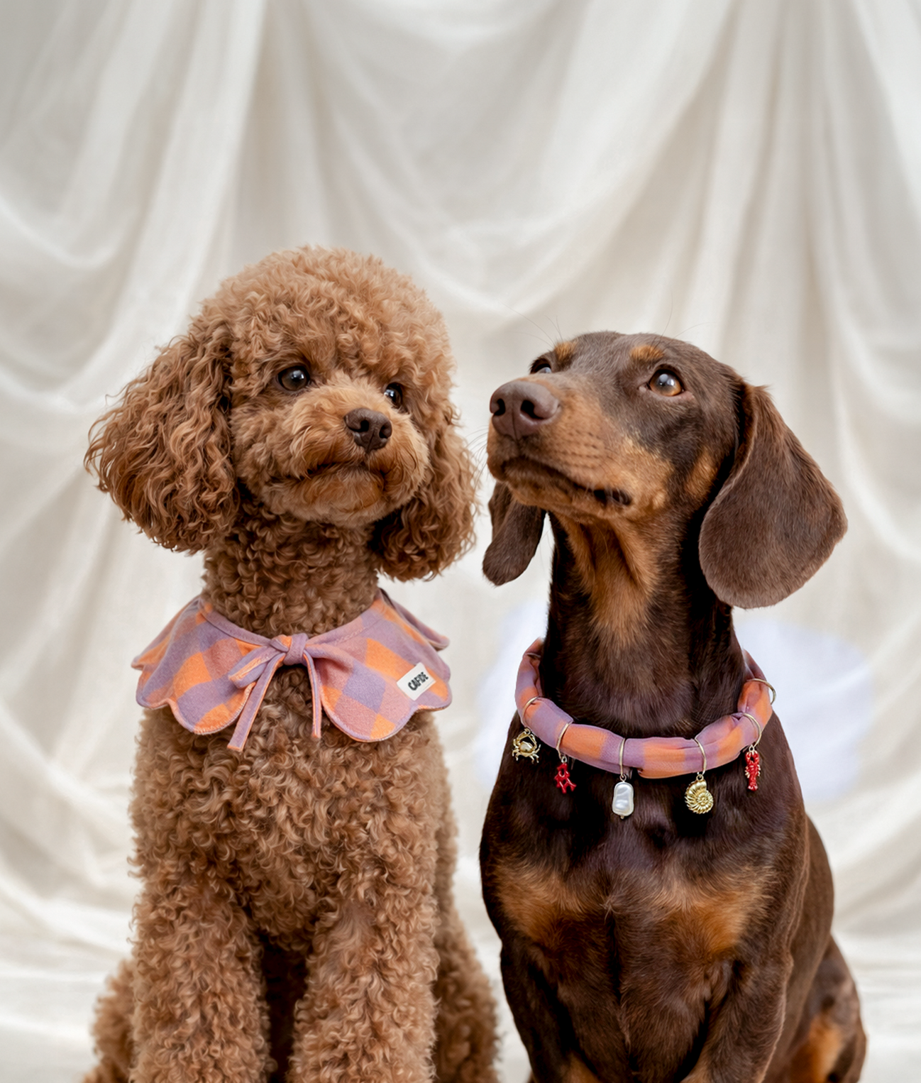 cafide-pets-lola-hundehalstuch-violett-karo-m-baumwolle image 2