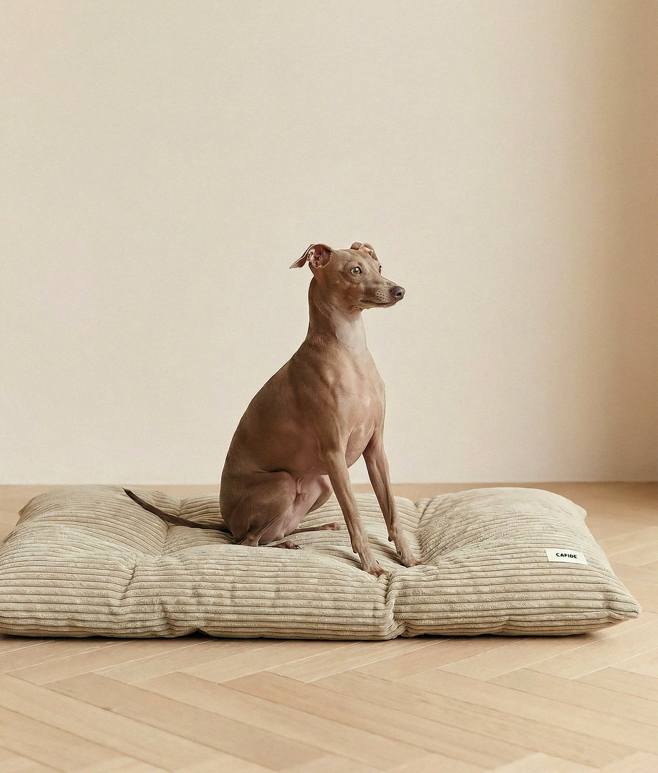 cafide-pets-bela-hundekissen-beige-cord-waschbar image 2