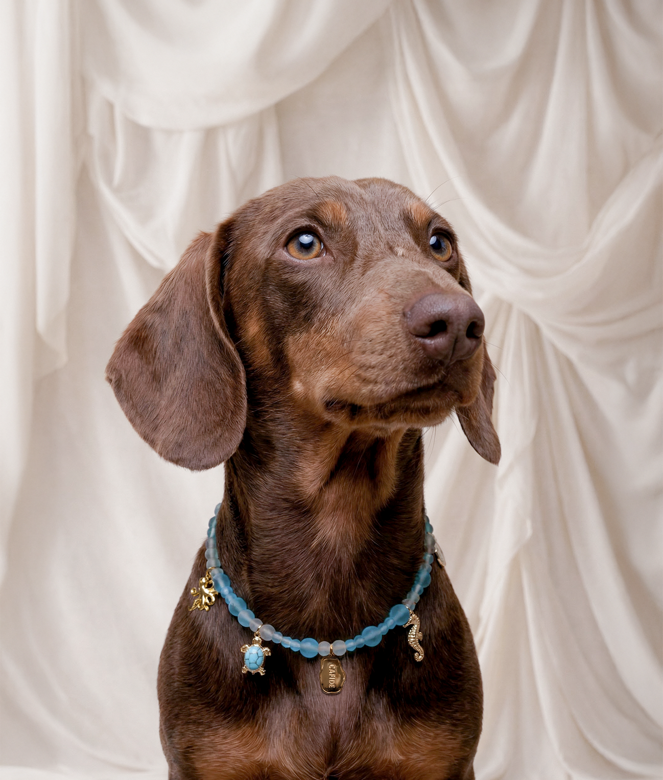 cafide-pets-jewelry-sira-hundehalskette-sea-charm-dekorativ image 2
