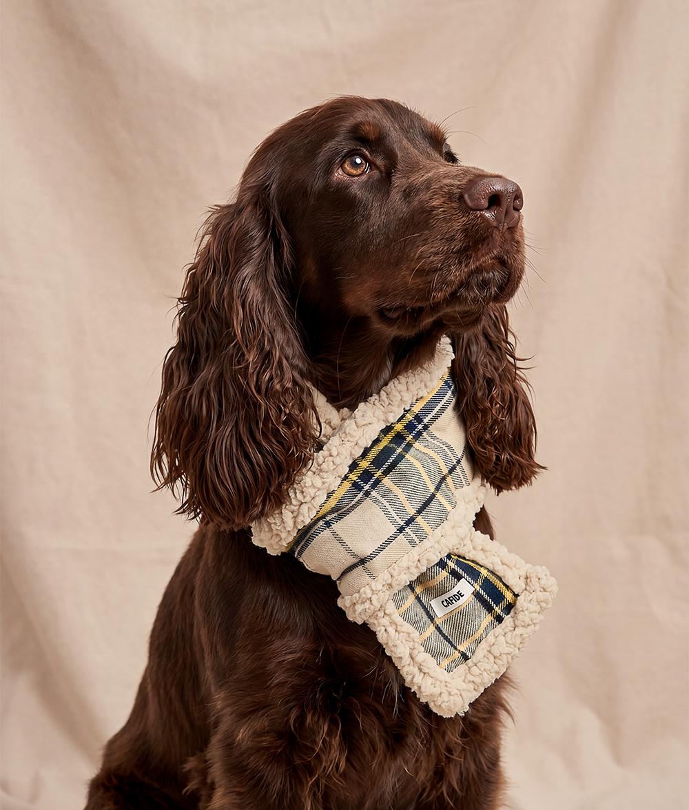 cafide-pets-accessories-mica-hundeschal-tartan-beige image 2