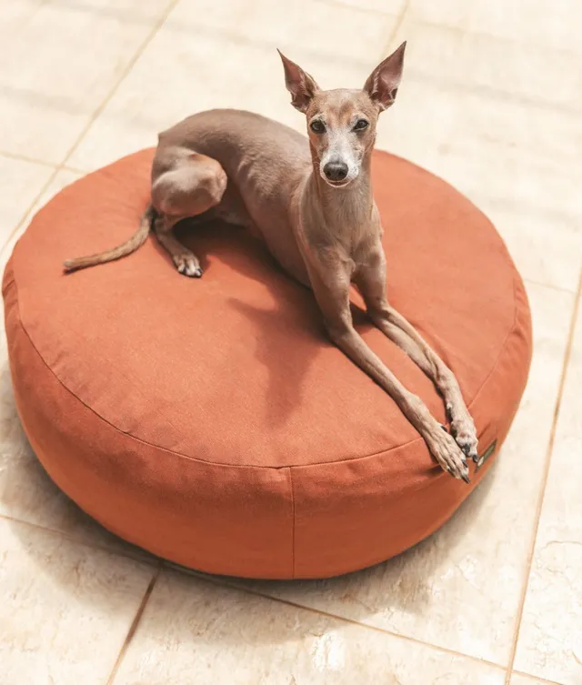 cafide-sleep-calos-hundebett-terracotta-outdoor image 1