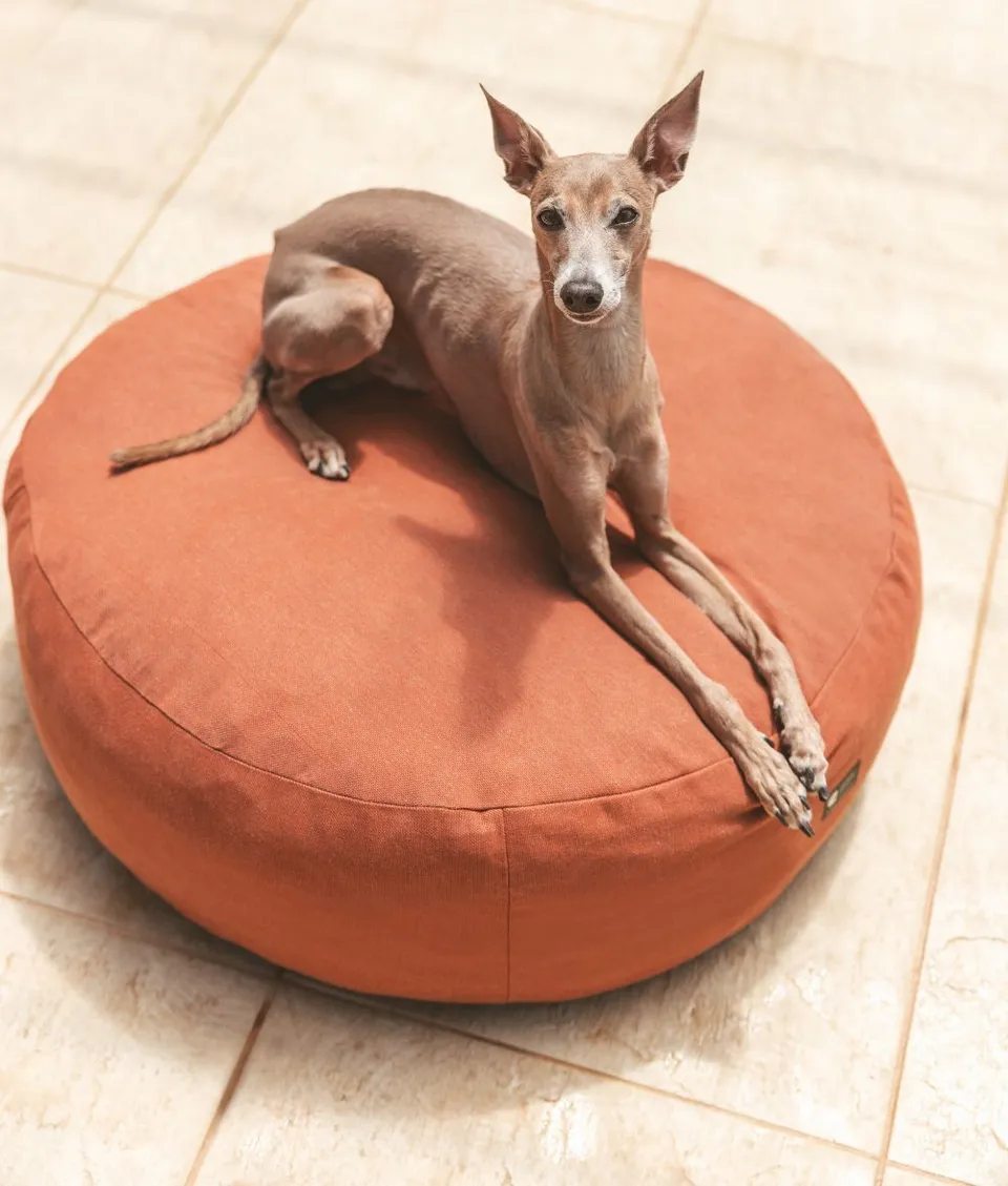 cafide-sleep-calos-hundebett-terracotta-outdoor image 1