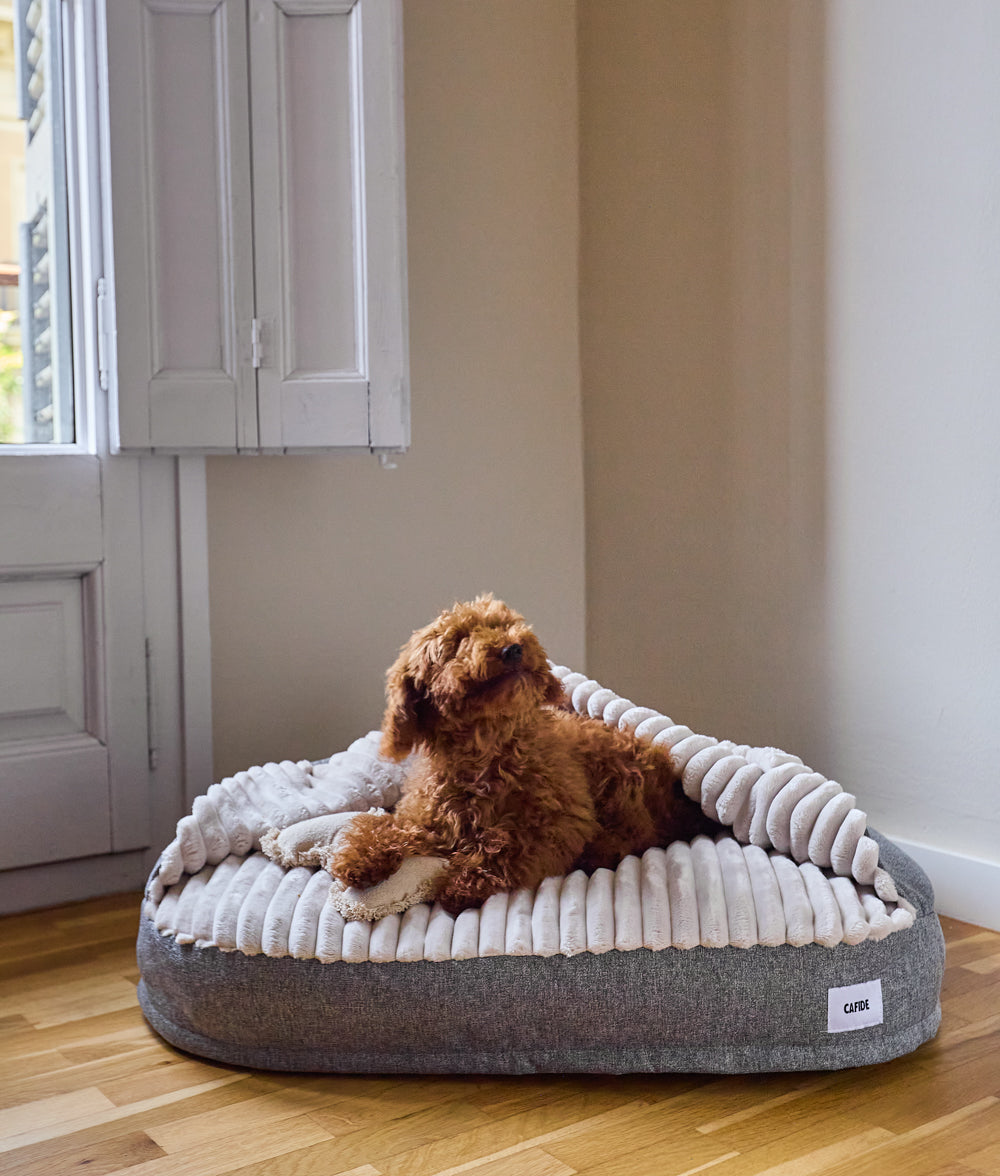 cafide-pets-sleep-maso-h-hlen-hundebett-chenille-grau-m image 4