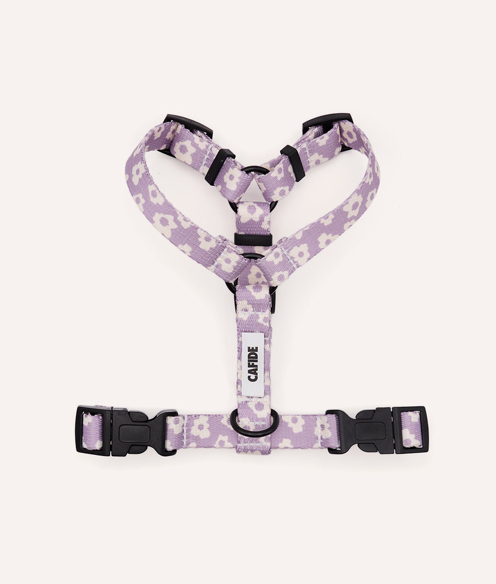 cafide-pets-walk-juno-hundegeschirr-violett-recycelt image 1