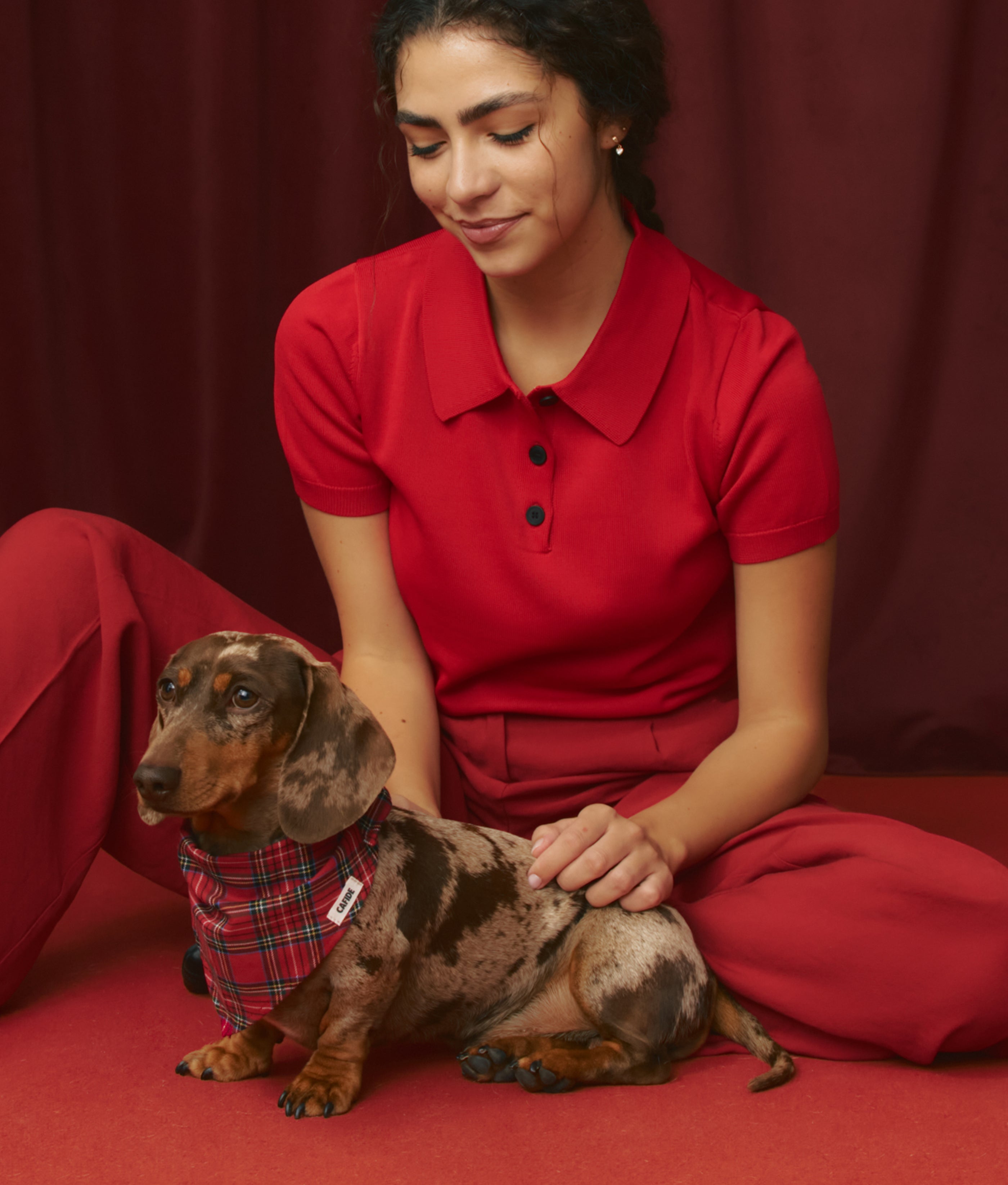cafide-pets-nata-halstuch-royal-stewart-tweed-baumwolle image 3