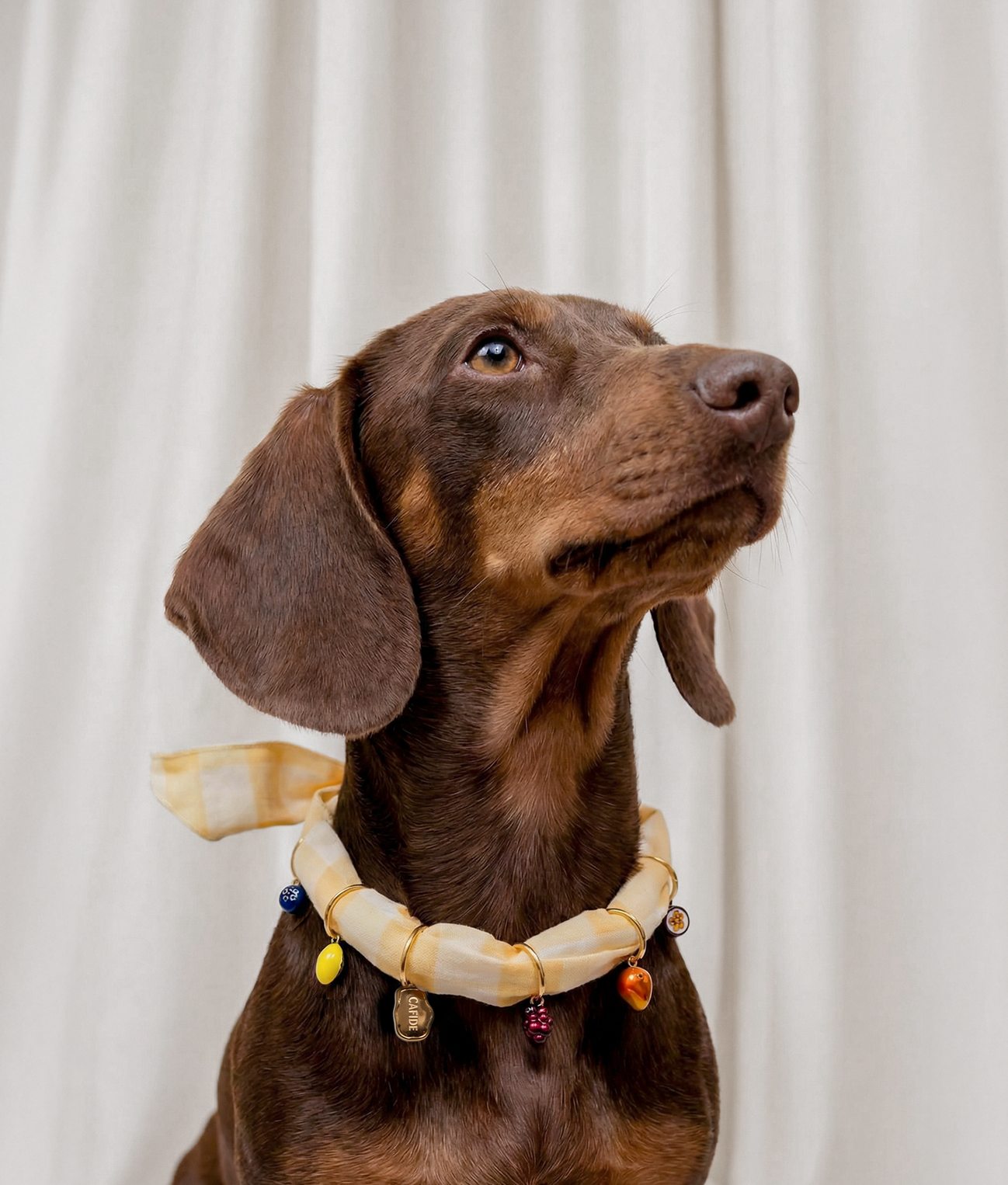 cafide-sira-hundehalstuch-gelb-vichy-charms-baumwolle-s image 2
