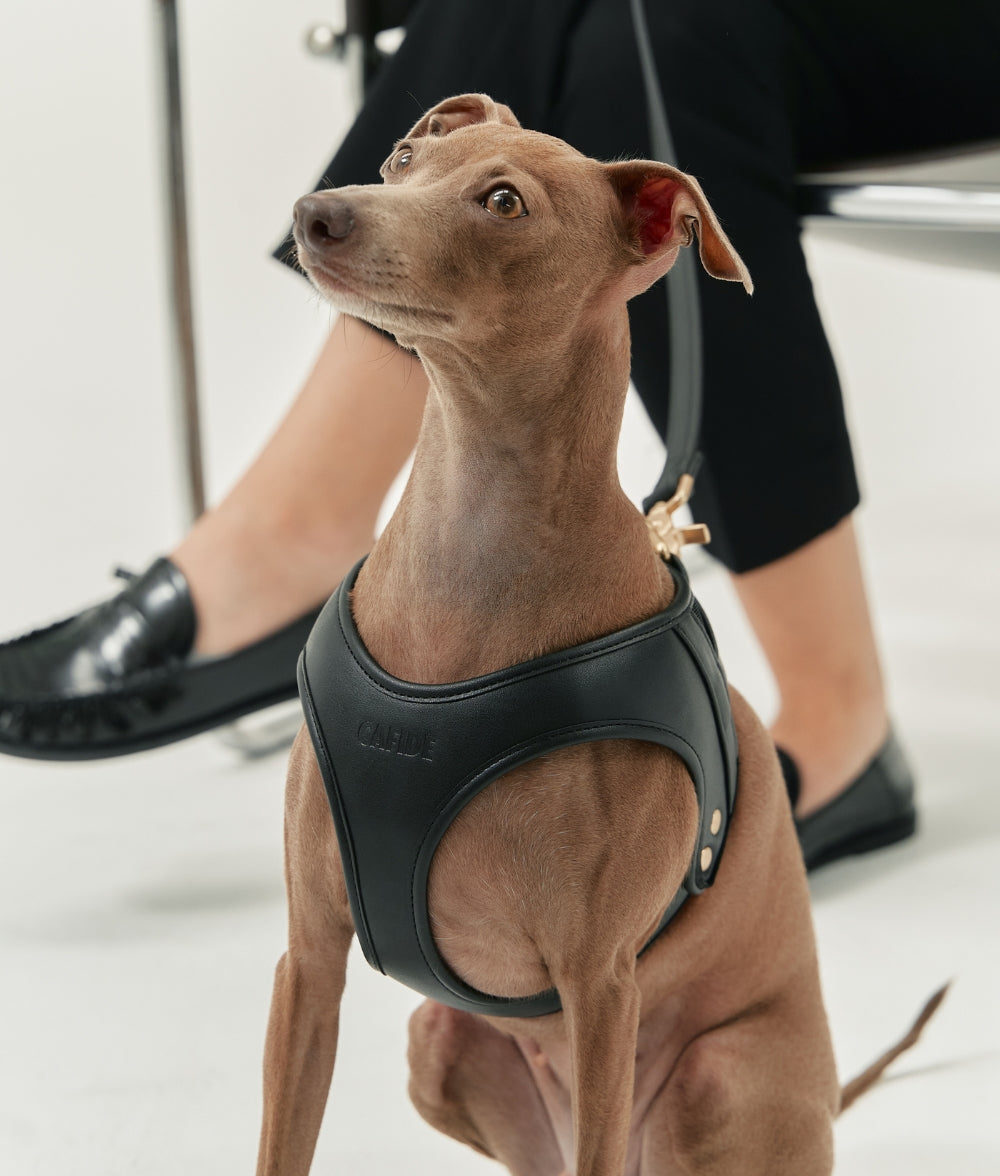 cafide-walk-jala-hundegeschirr-veganes-leder-schwarz image 2