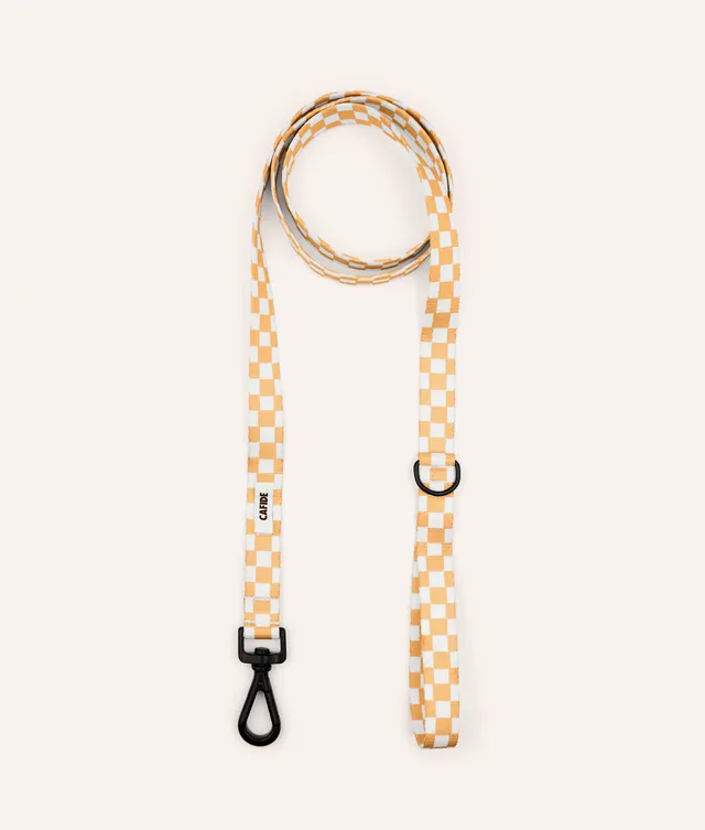 cafide-walk-juno-hundeleine-1-2m-pet-orange-pfirsich image 1