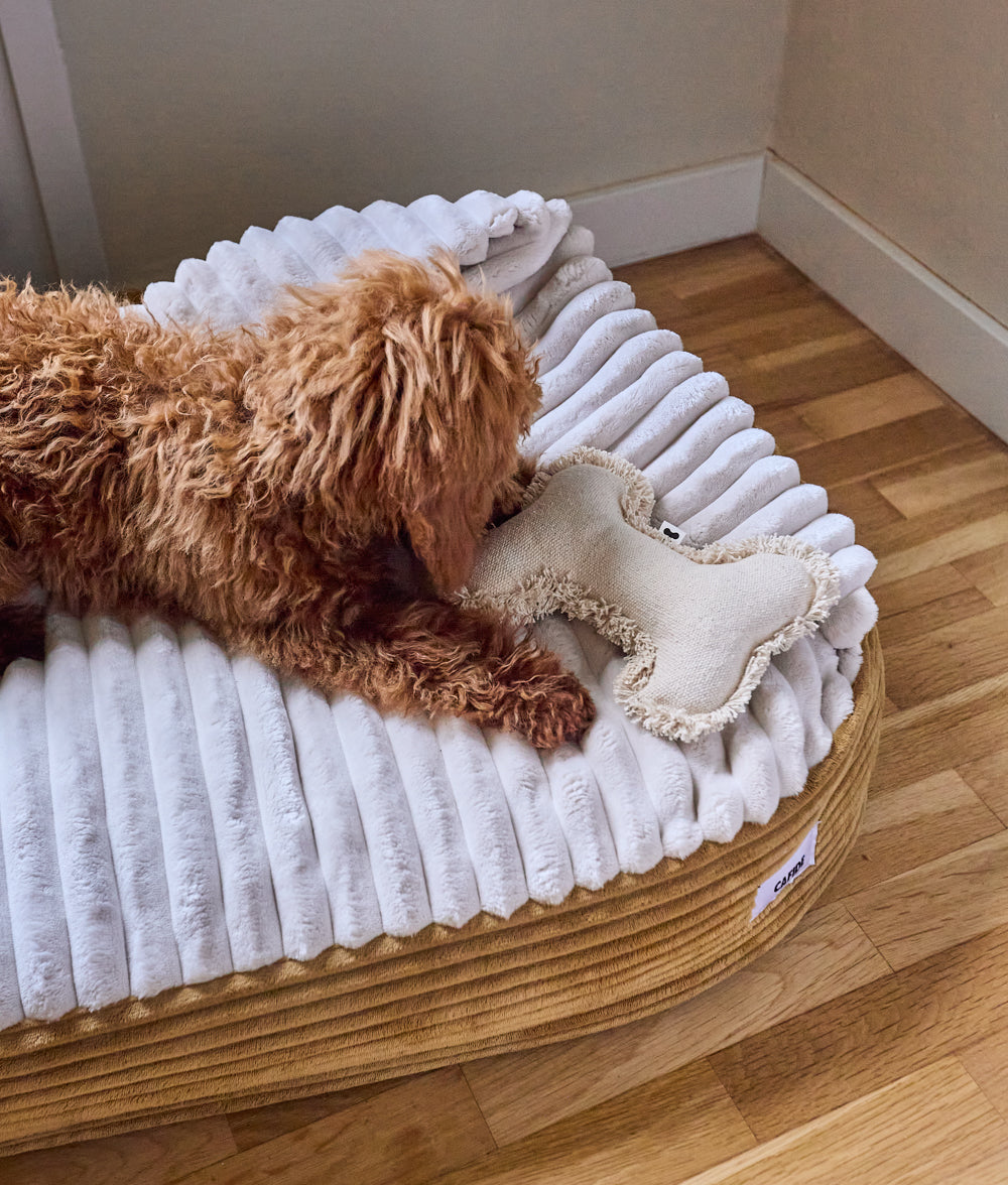 cafide-pets-sleep-maso-hundeh-hle-cord-senf image 4