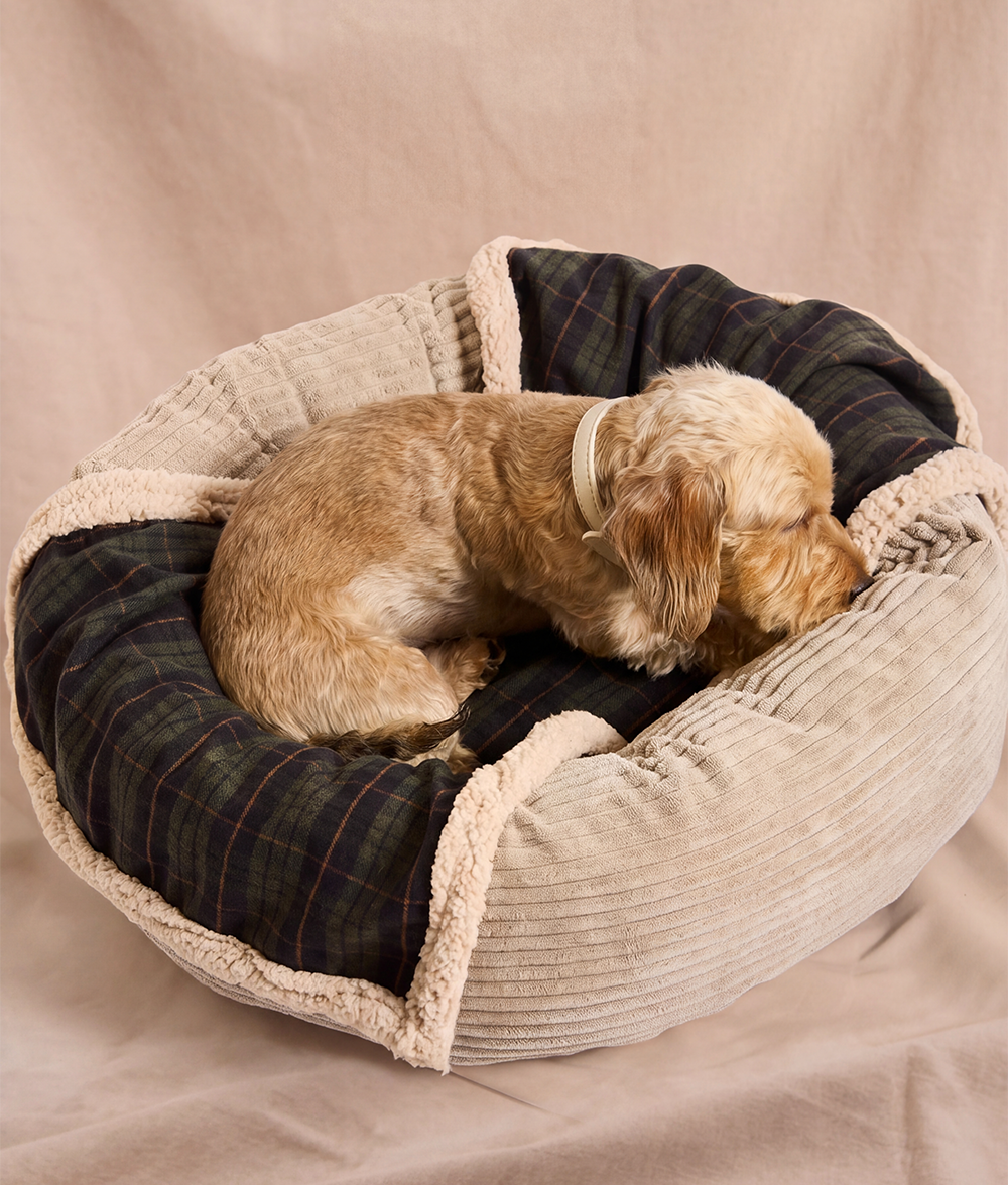 cafide-pets-sleep-toia-hundedecke-green-tartan-gr-l image 2