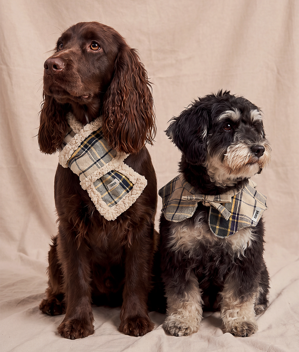 cafide-pets-accessories-mica-hundeschal-tartan-beige image 3