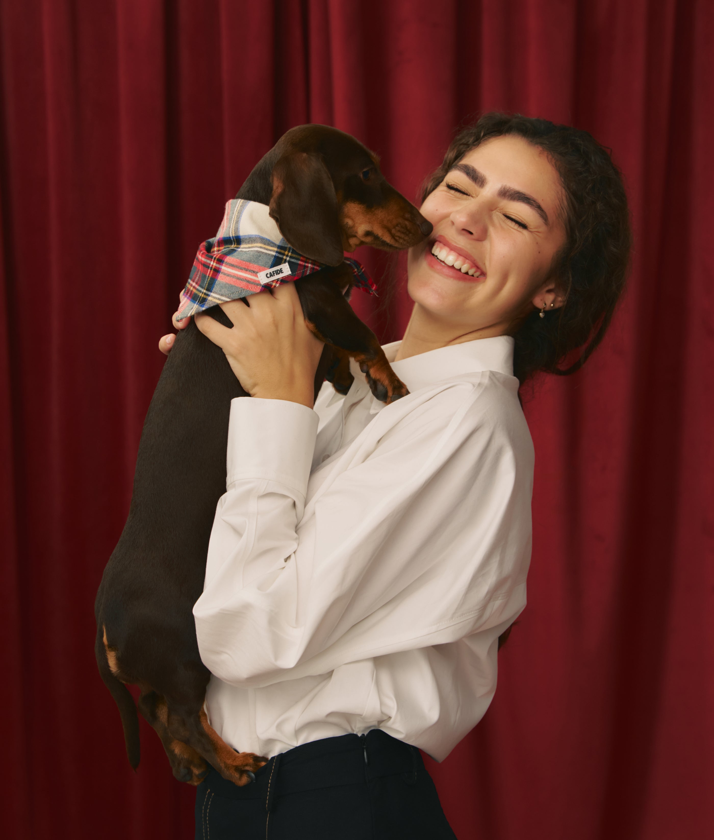 cafide-pets-nata-hundehalstuch-dress-stewart-tweed-gr-m image 2