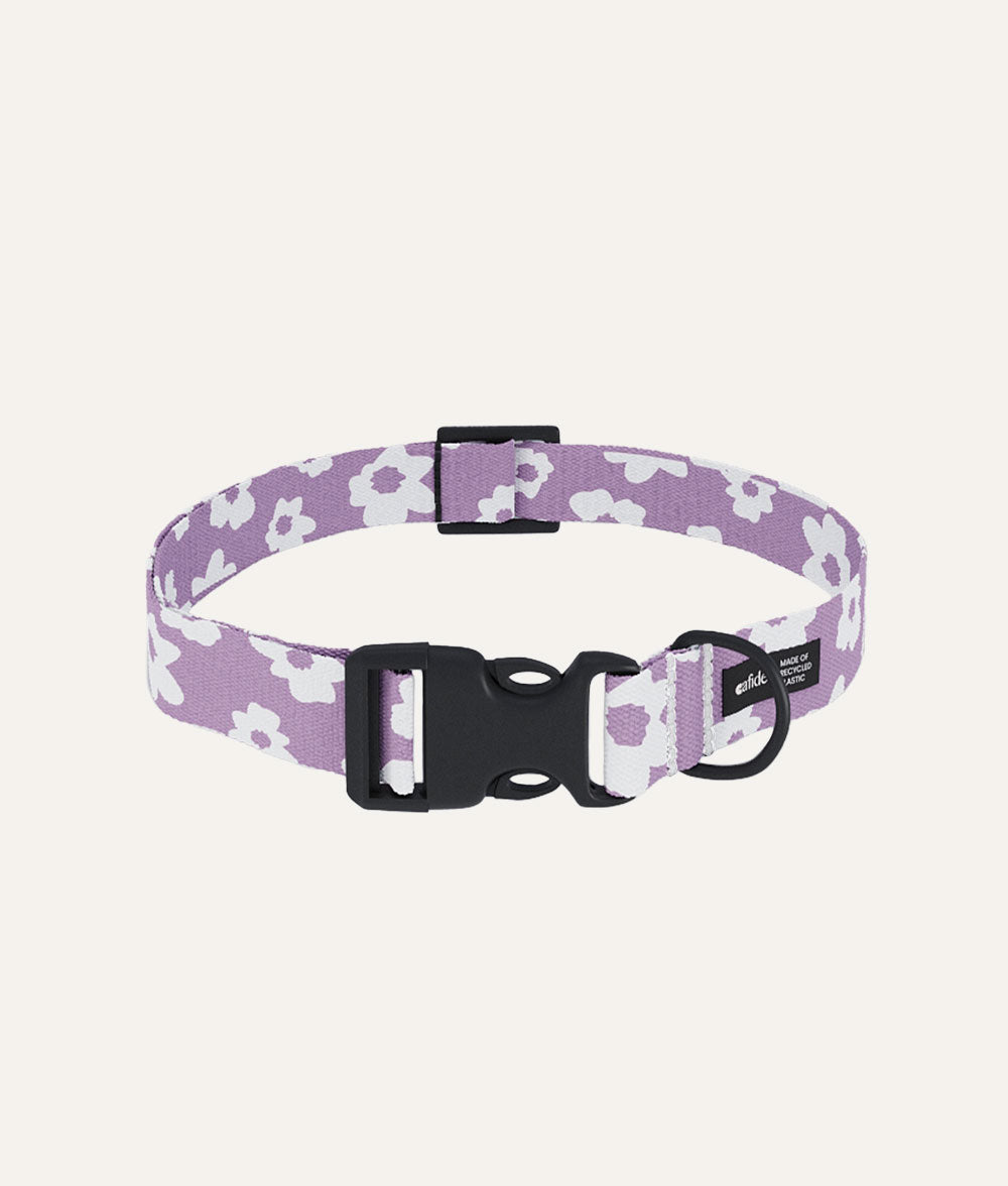 cafide-walk-juno-hundehalsband-violett-verstellbar image 1