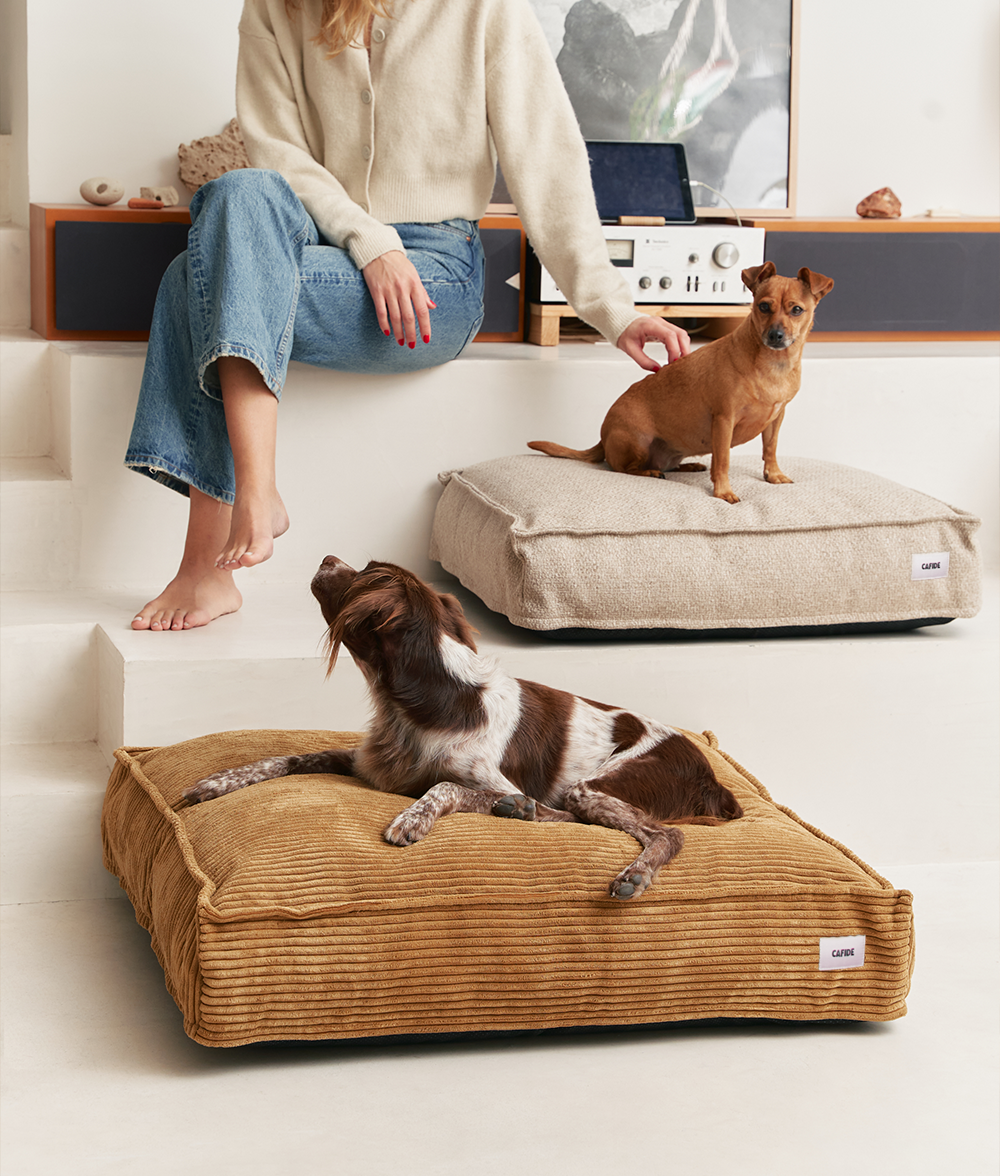 cafide-pets-cuadra-hundebett-senf-cord-m-recycling-schaum image 4