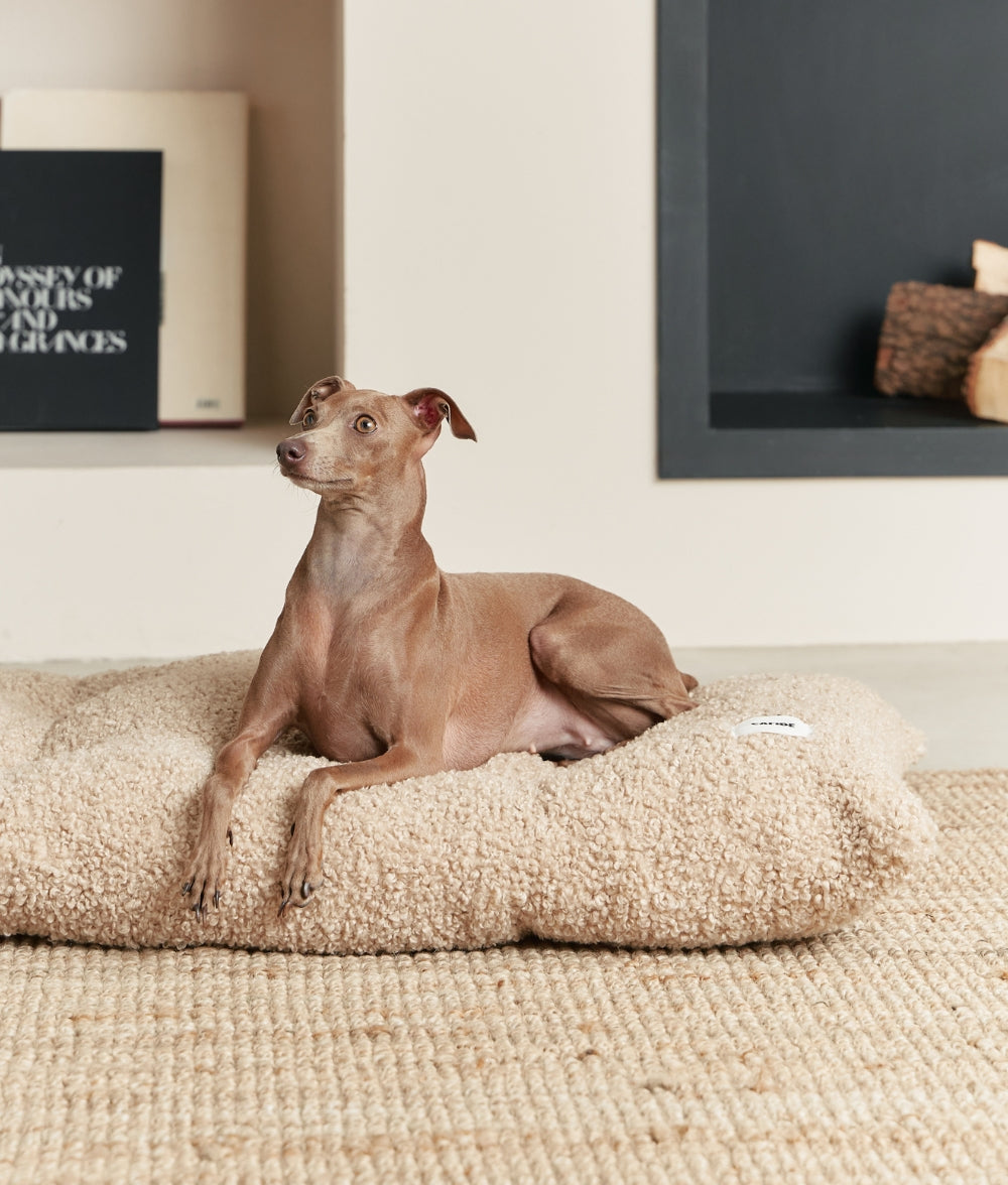 cafide-pets-sleep-bela-hundekissen-beige-fleece-waschbar image 2