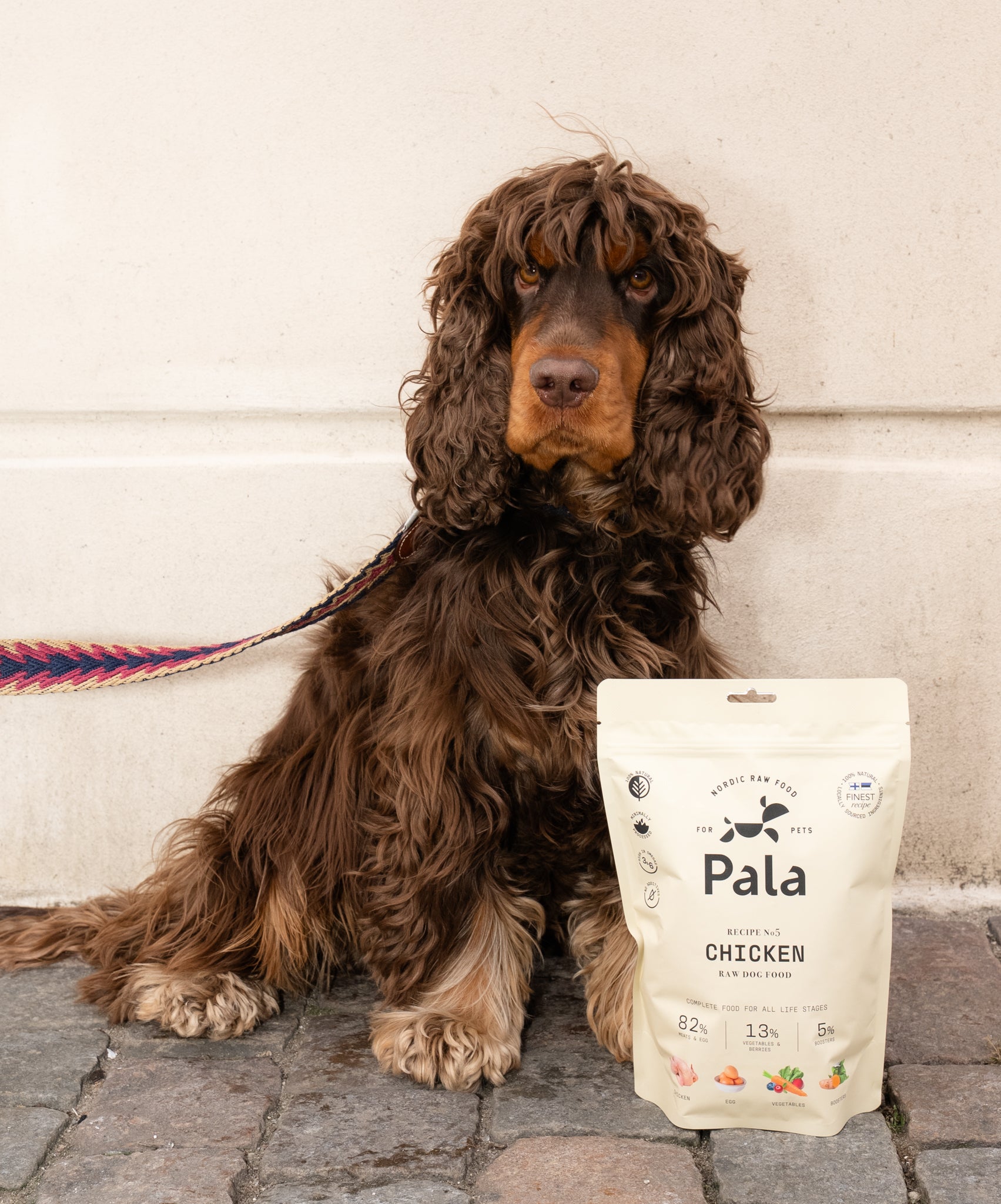 pala-recipe-5-chicken-hundefutter-huhn-ei-100g-aktiv image 2