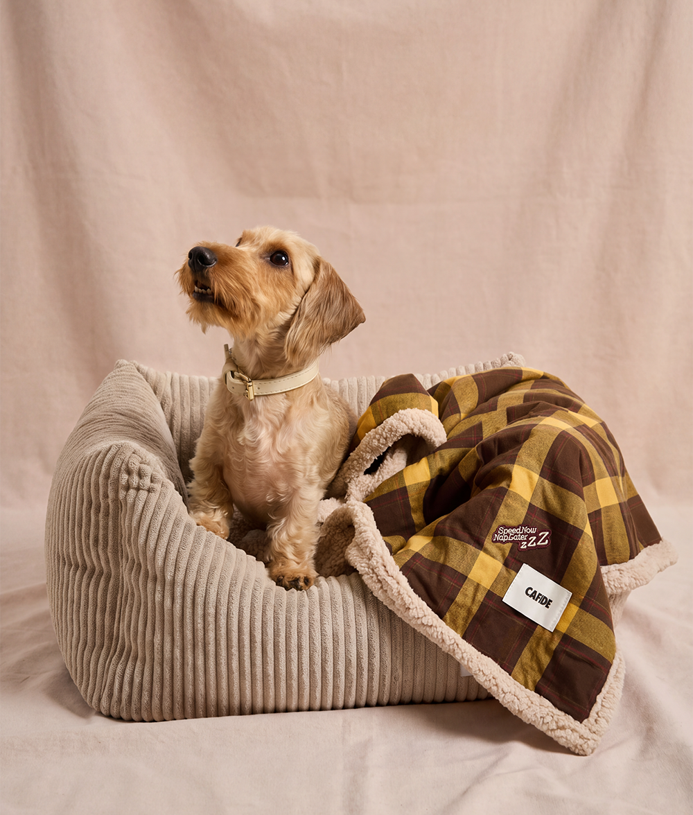 cafide-toia-hundedecke-senf-karo-m-90x65cm-sherpa image 2