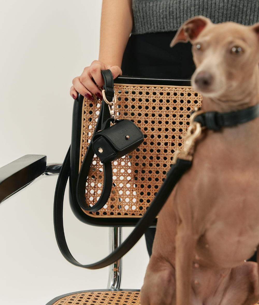 cafide-walk-jala-halsband-hund-schwarz-veganes-leder-gr-s image 3