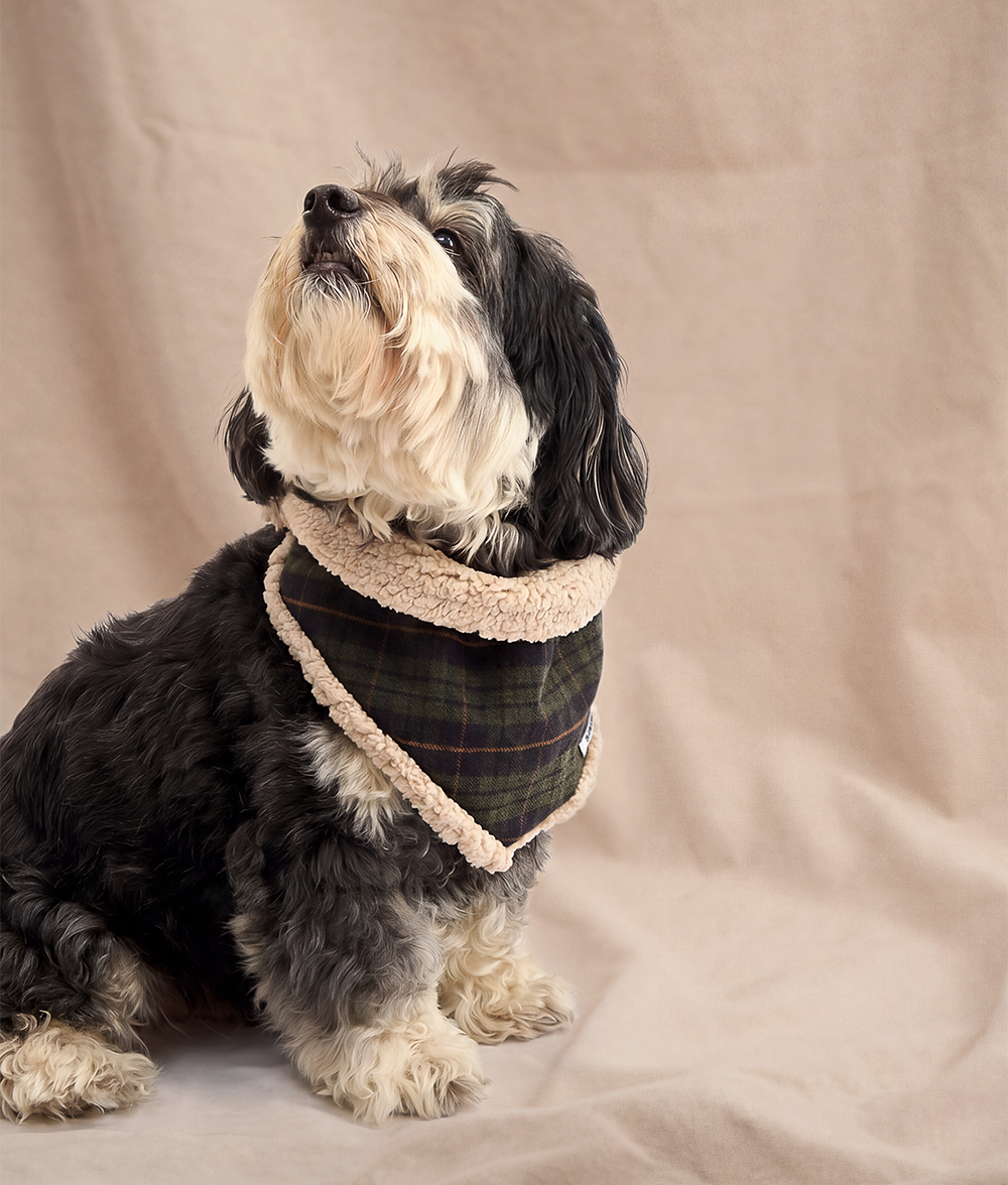 cafide-pets-accessories-nata-hundebandana-tartan-gr-n-wende-baumwolle image 3