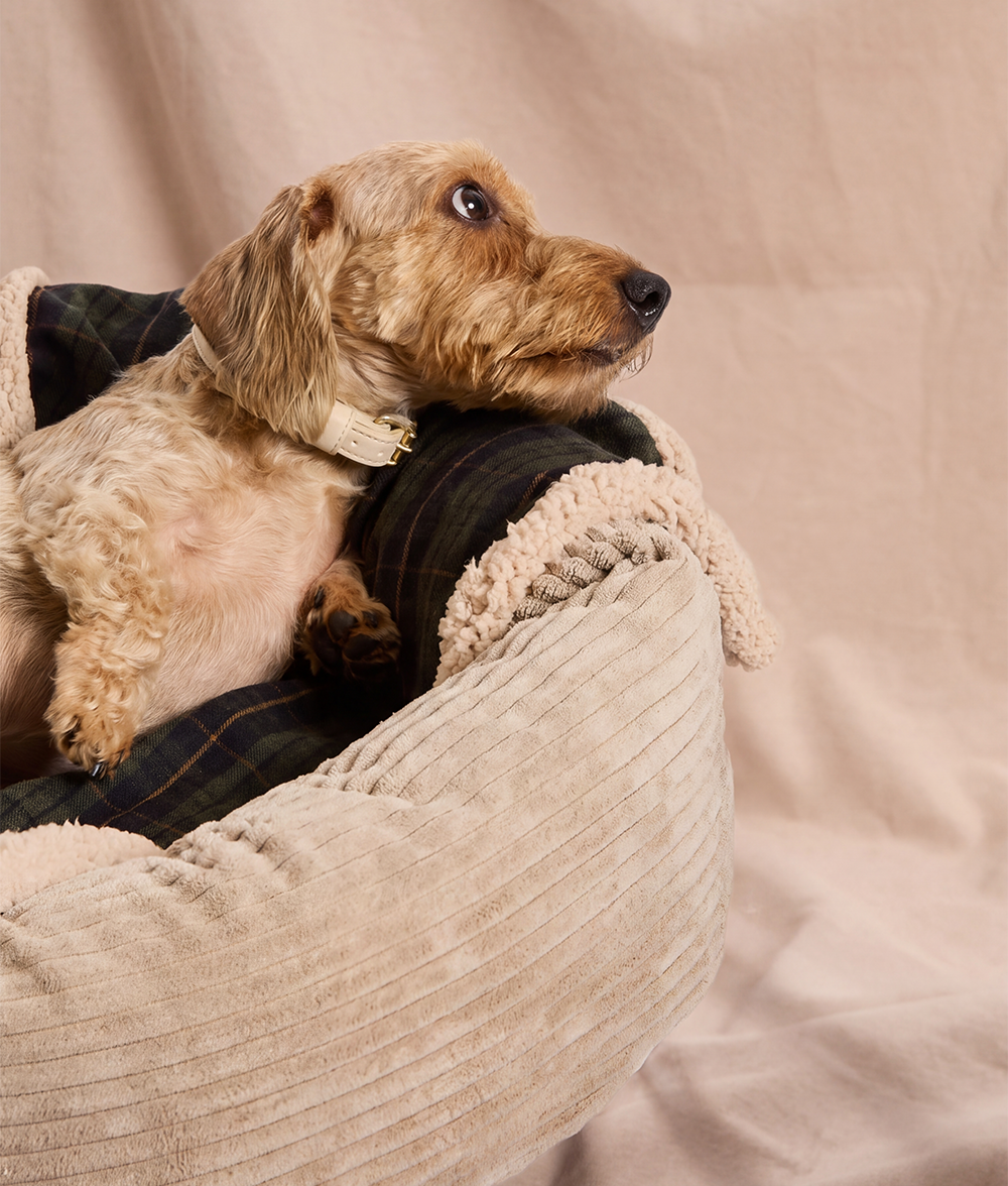 cafide-pets-sleep-toia-hundedecke-green-tartan-gr-l image 3