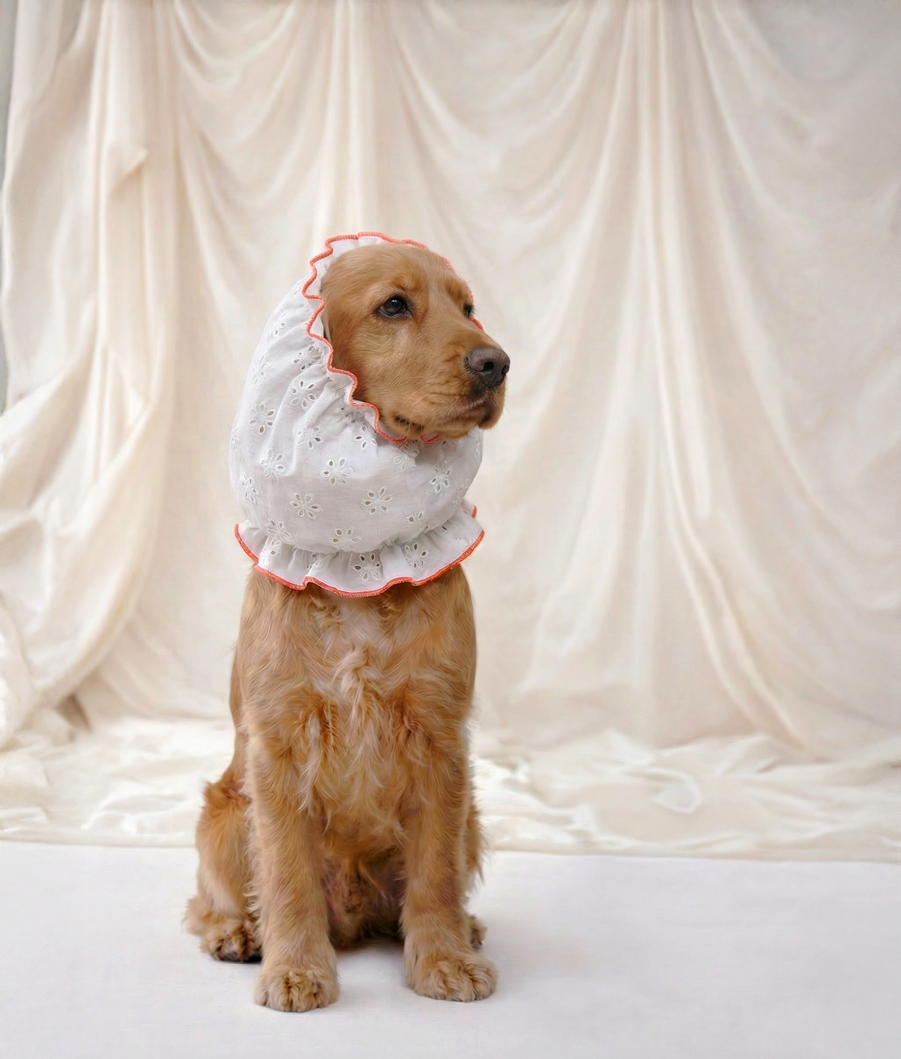 cafide-accessories-olga-hundesnood-m-koralle-broderie image 2