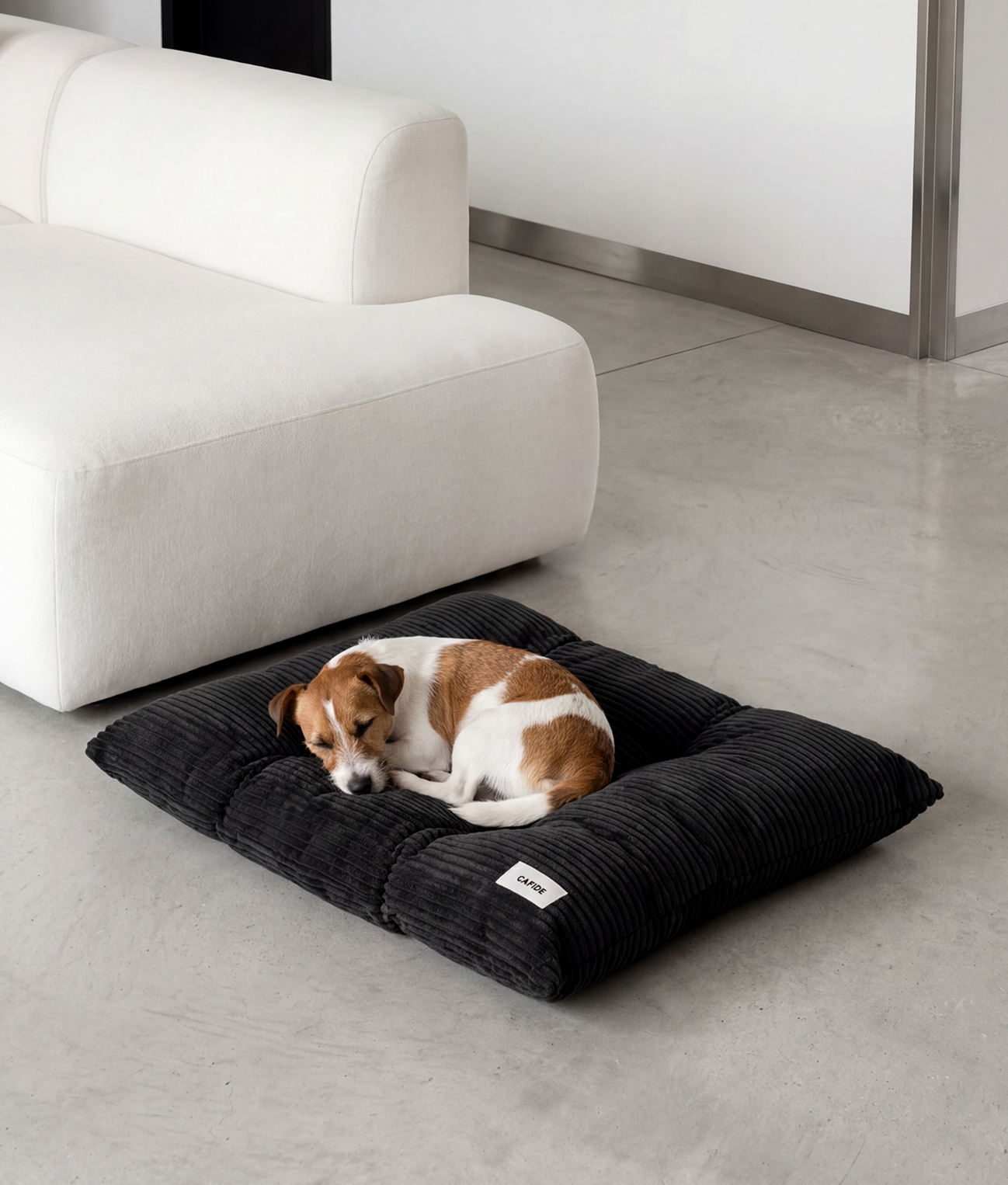 cafide-sleep-bela-hundekissen-schwarz-cord image 2