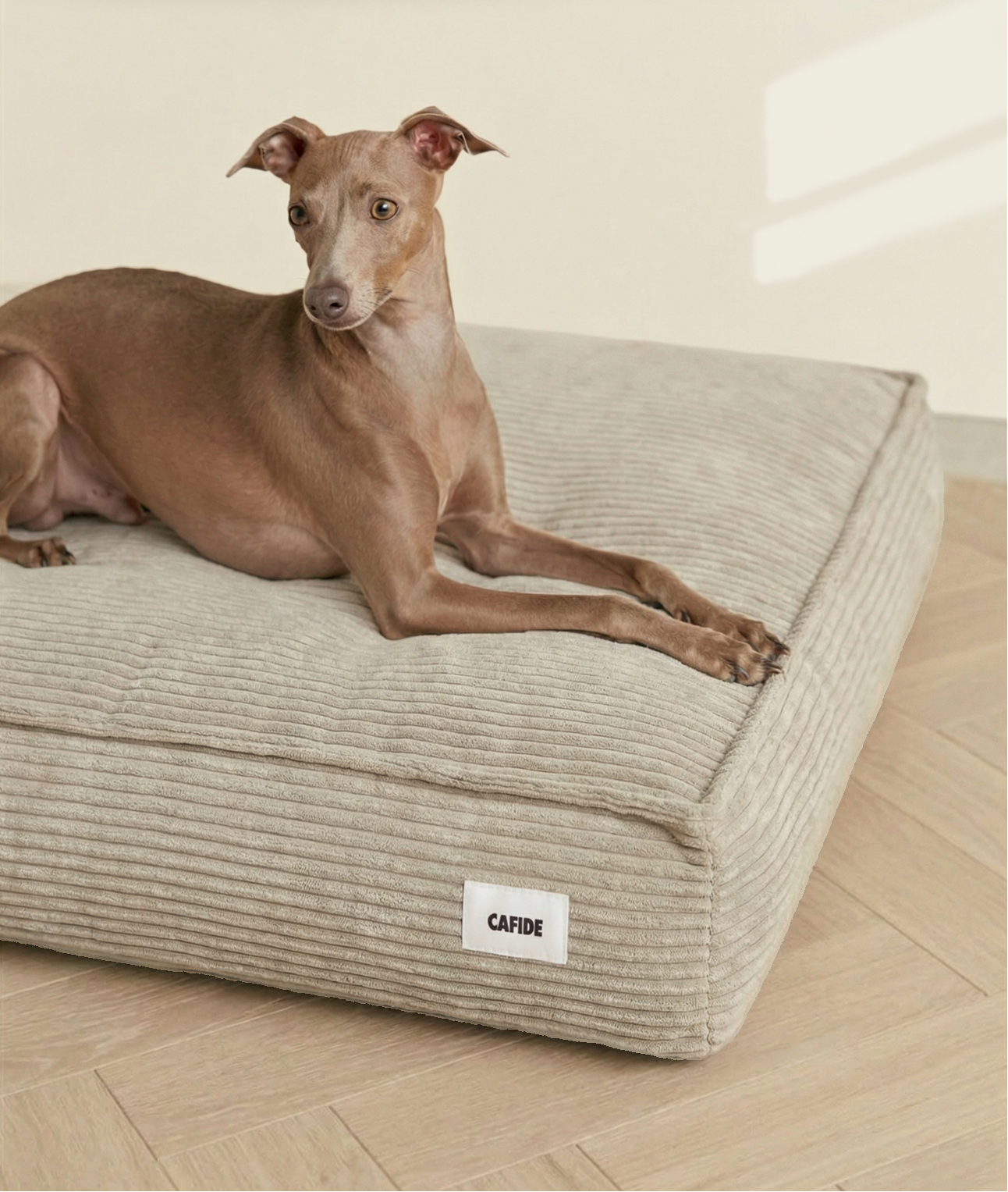 cafide-pets-cuadra-hundebett-beige-cord-waschbar image 2
