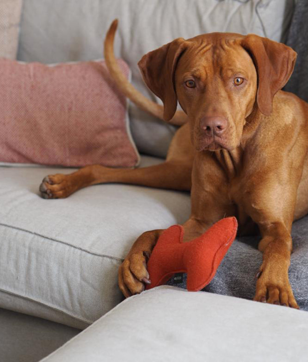 cafide-pets-play-hundespielzeug-knochen-terracotta-weich image 7