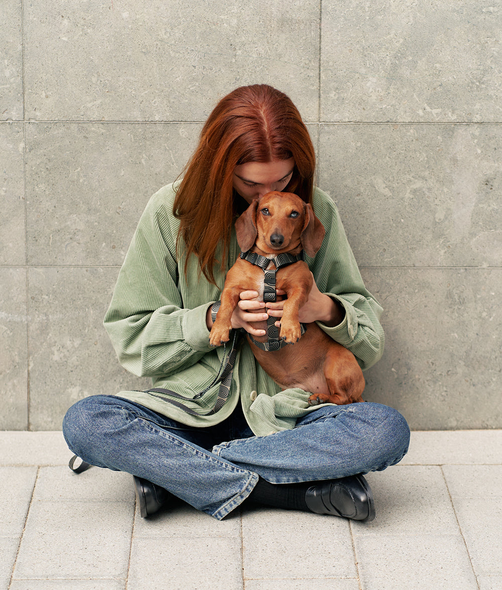 cafide-walk-juno-hundegeschirr-gr-n-japan-design image 4
