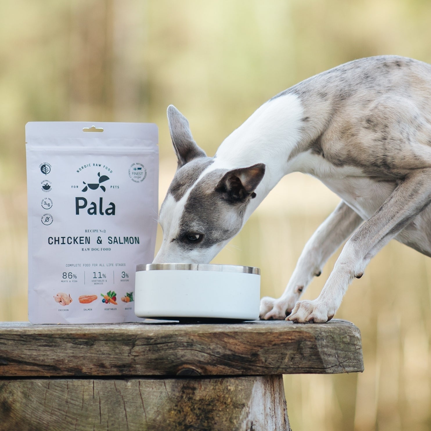 pala-recipe-2-chicken-salmon-hundefutter-huhn-lachs-100g image 7