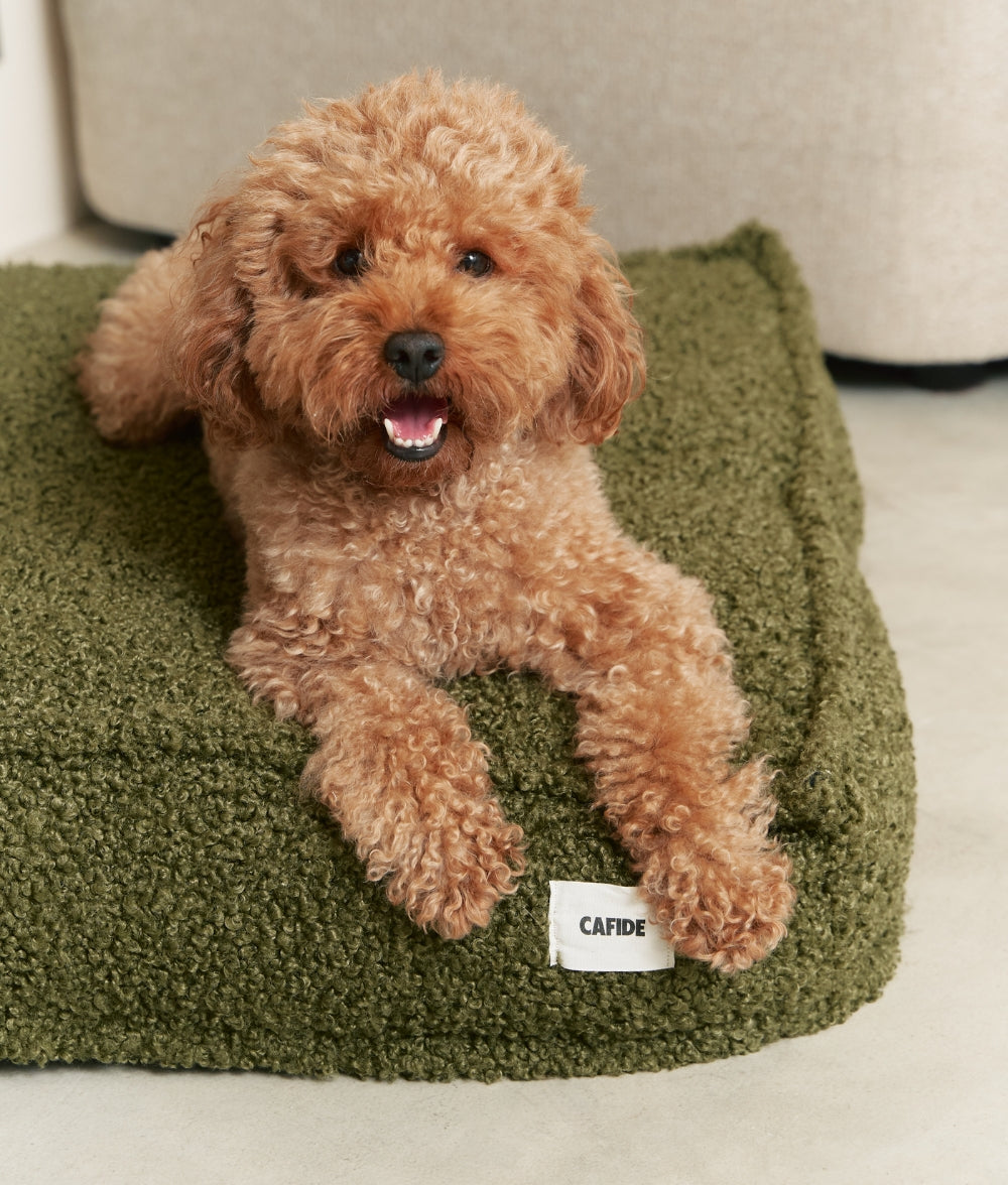 cafide-sleep-cuadra-hundebett-gr-n-fleece-m-waschbar image 3