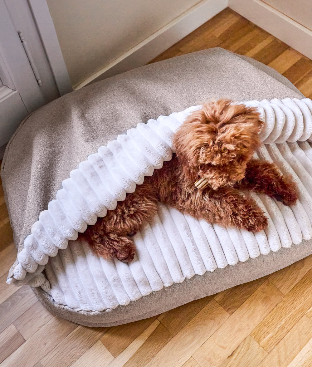 cafide-sleep-maso-h-hlen-hundebett-chenille-beige-m image 2