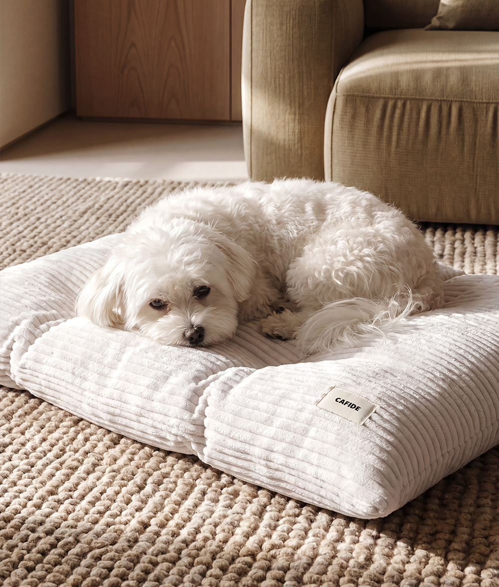 cafide-pets-bela-hundekissen-cord-cremewei-waschbar image 2