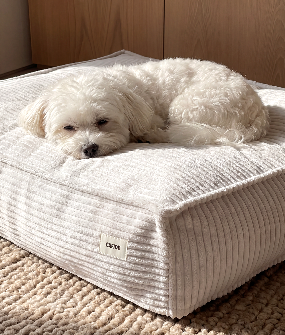 cafide-pets-cuadra-hundebett-wei-cord-waschbar image 3
