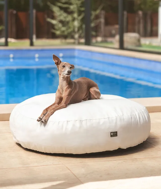 cafide-sleep-calos-hundebett-wei-outdoor-waschbar image 1
