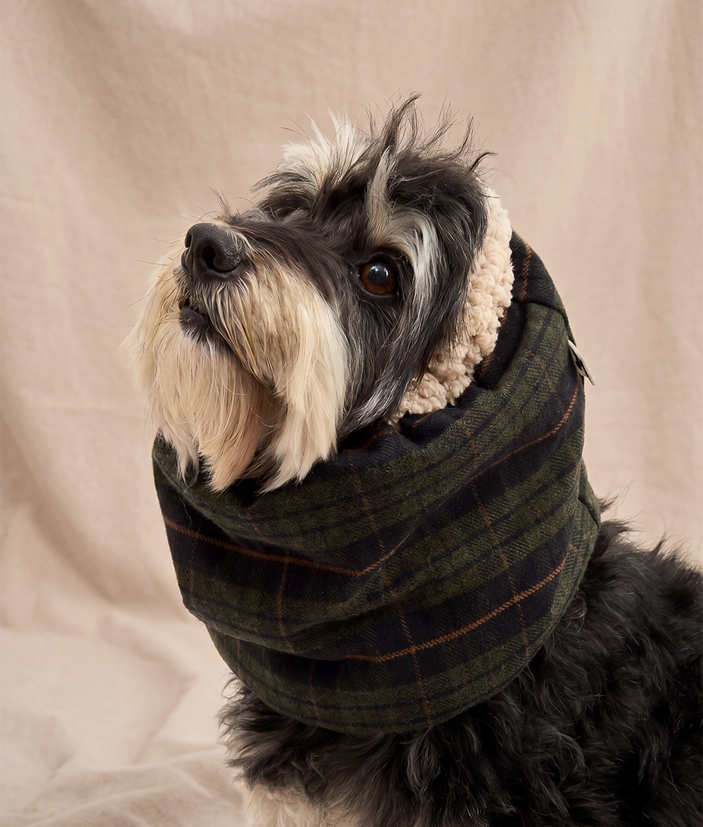 cafide-olga-hundesnood-gr-n-tartan-gr-e-m-baumwolle-sherpa image 2