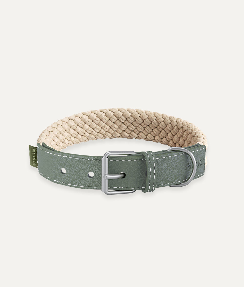 cafide-pets-corda-hundehalsband-vegan-leder-gr-n image 1