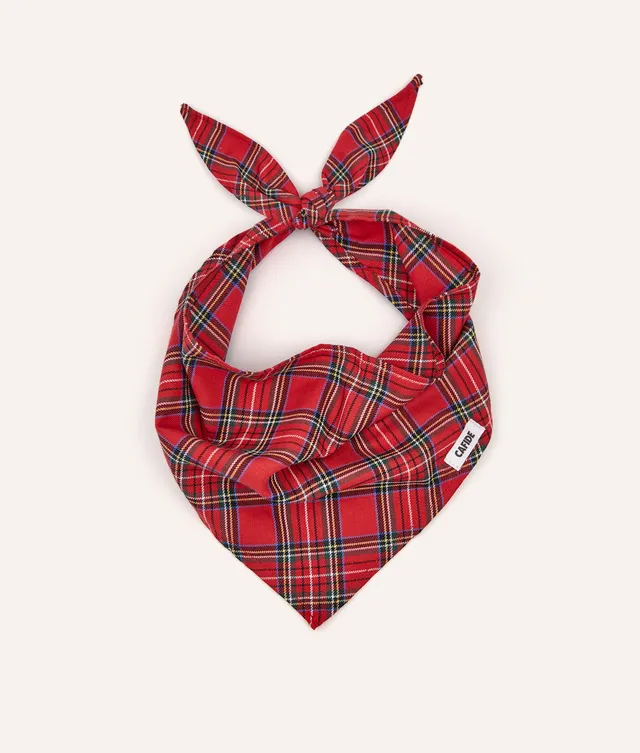 cafide-pets-nata-halstuch-royal-stewart-tweed-baumwolle image 1