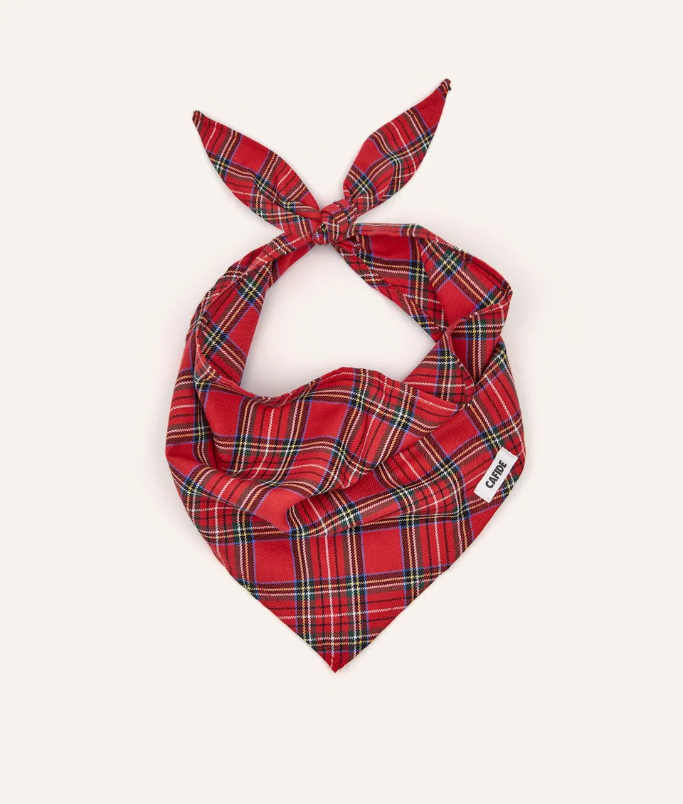 cafide-pets-nata-halstuch-royal-stewart-tweed-baumwolle image 1