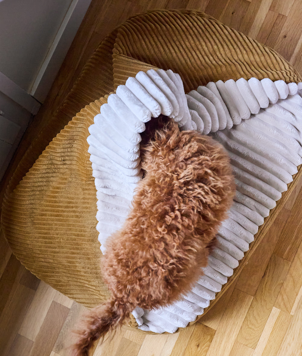 cafide-pets-sleep-maso-hundeh-hle-cord-senf image 2