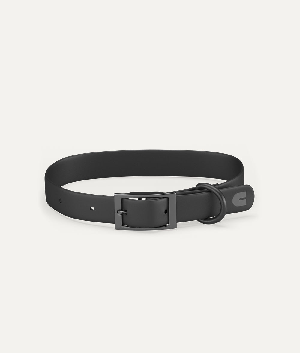 cafide-walk-gala-hundehalsband-schwarz-m-verstellbar image 1