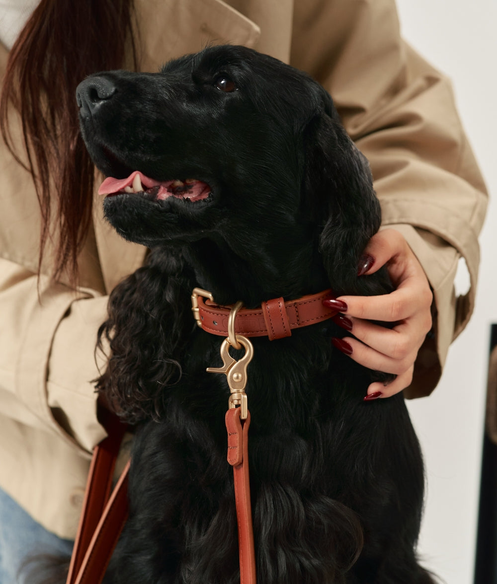 cafide-pets-walk-jala-hundeleine-1-4-m-braun-veganleder image 3