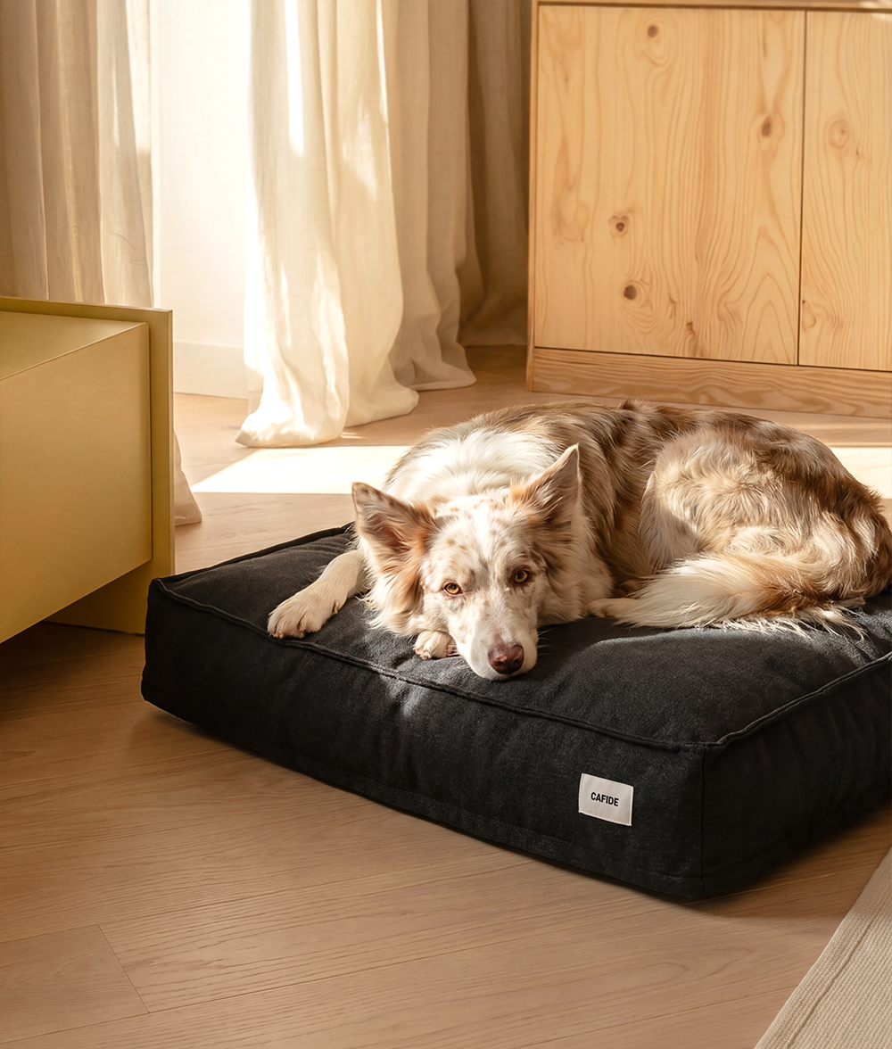cafide-cuadra-hundebett-anthrazit-m-75x60x15cm-soft-touch image 2