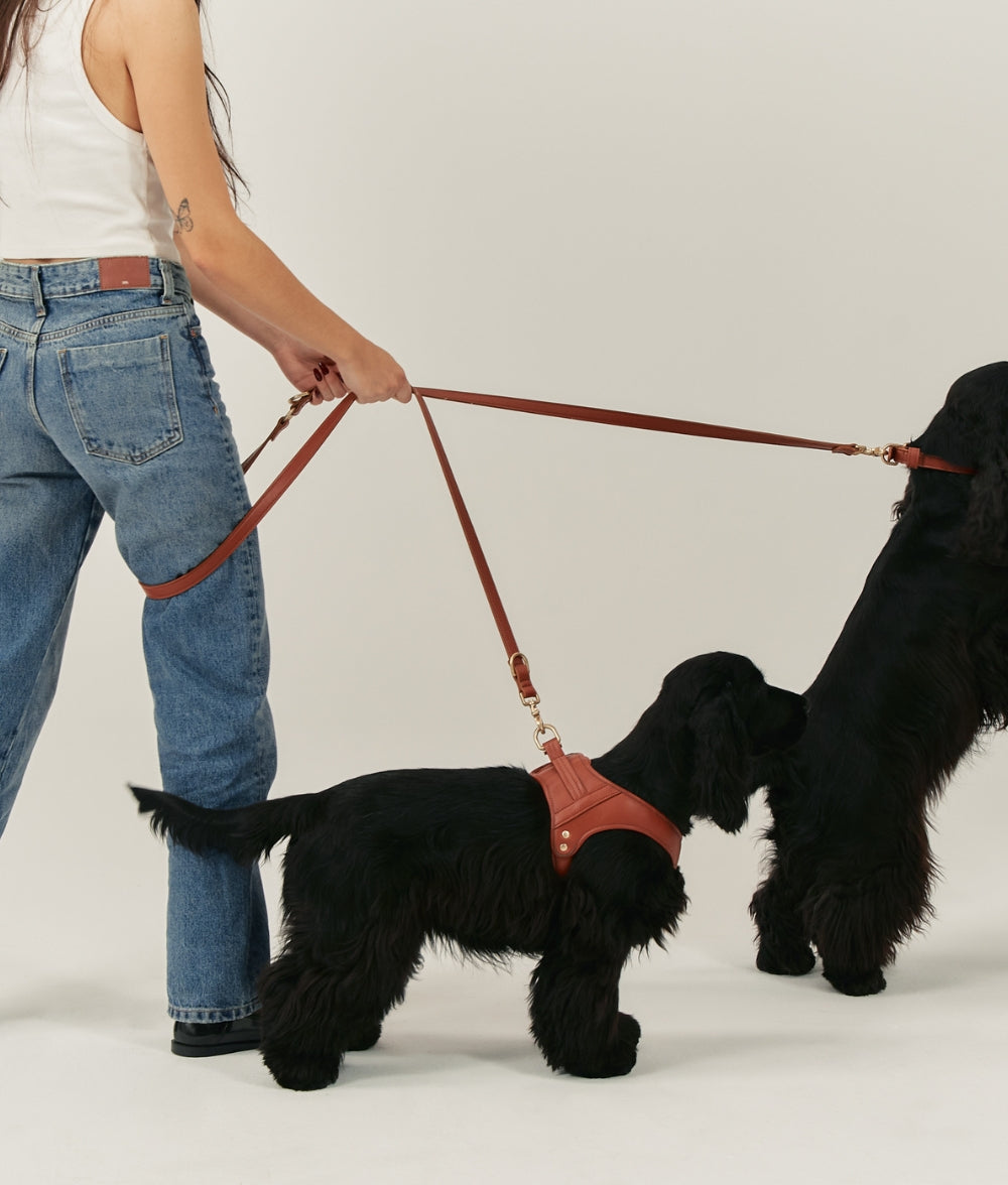 cafide-walk-jala-hundeleine-braun-veganes-leder image 2